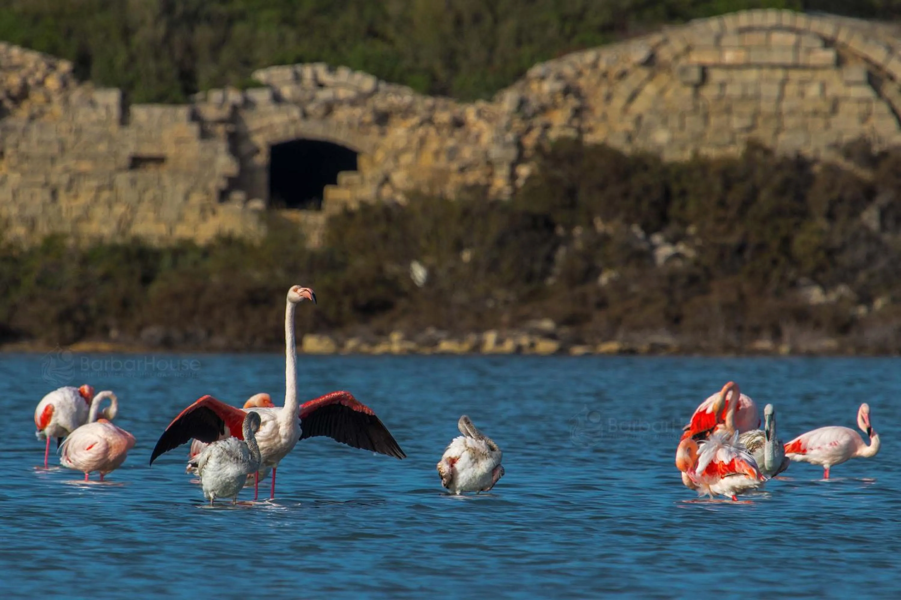 Other in Residence La Scogliera
