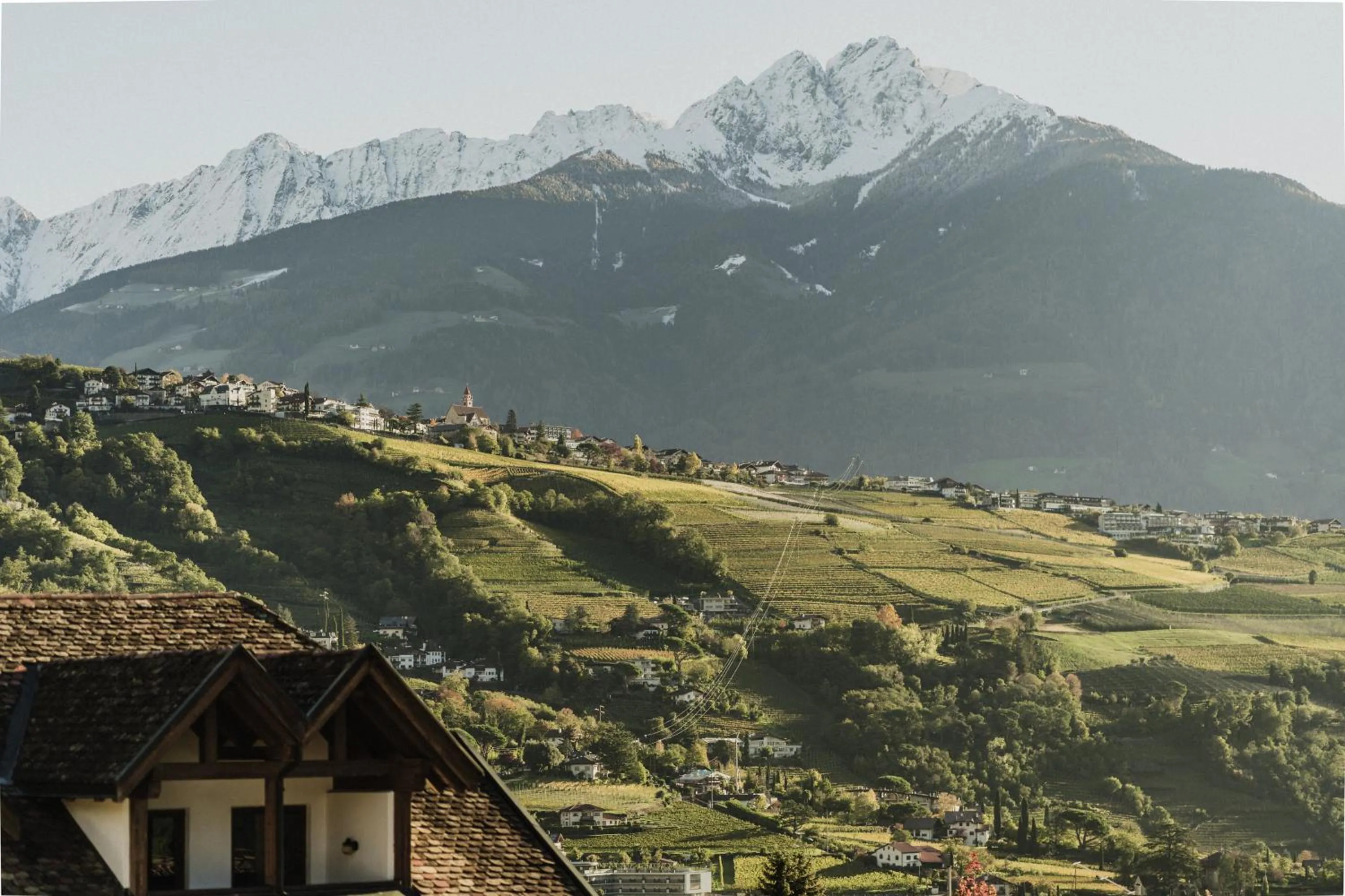 Natural landscape in Thalguter - Rooms & Breakfast