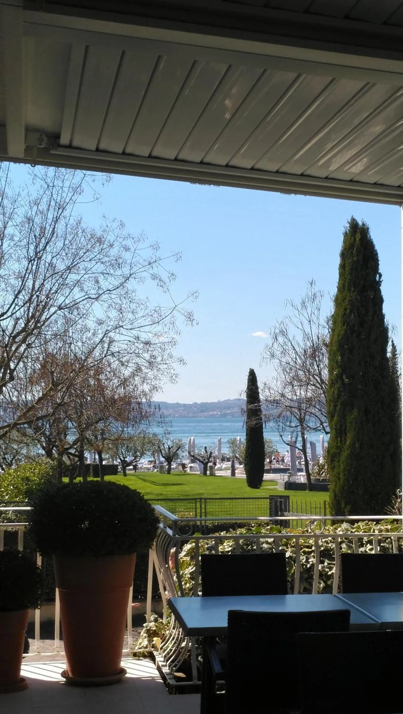 Garden in Hotel Luna