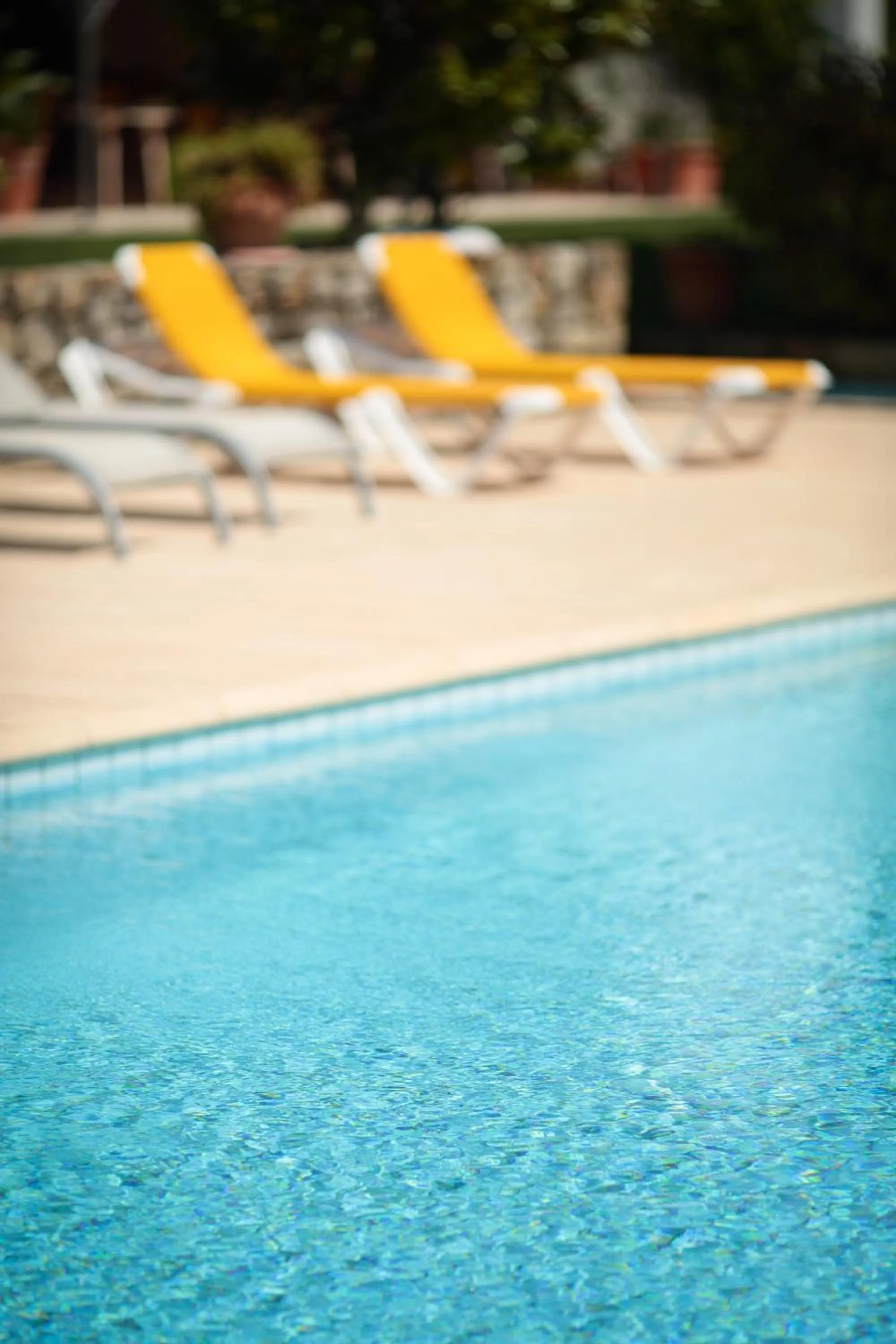 Swimming pool in Logis Hôtel Restaurant Le Chêne Vert