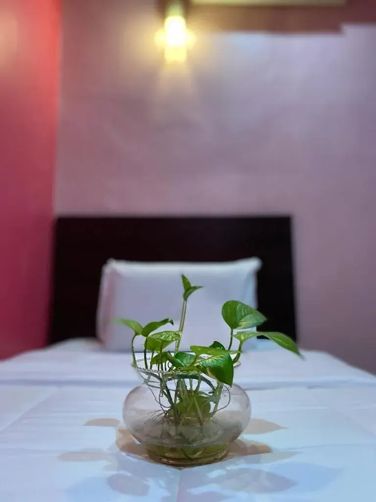 Standard Single Room in Ct Hotel Standard Single Room in Ct Hotel