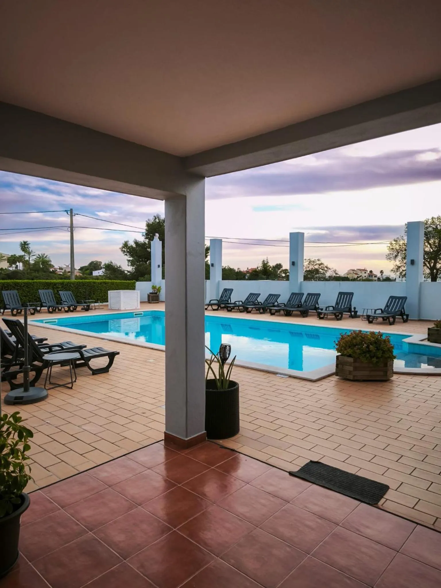 Pool view in Villa Welwitshia