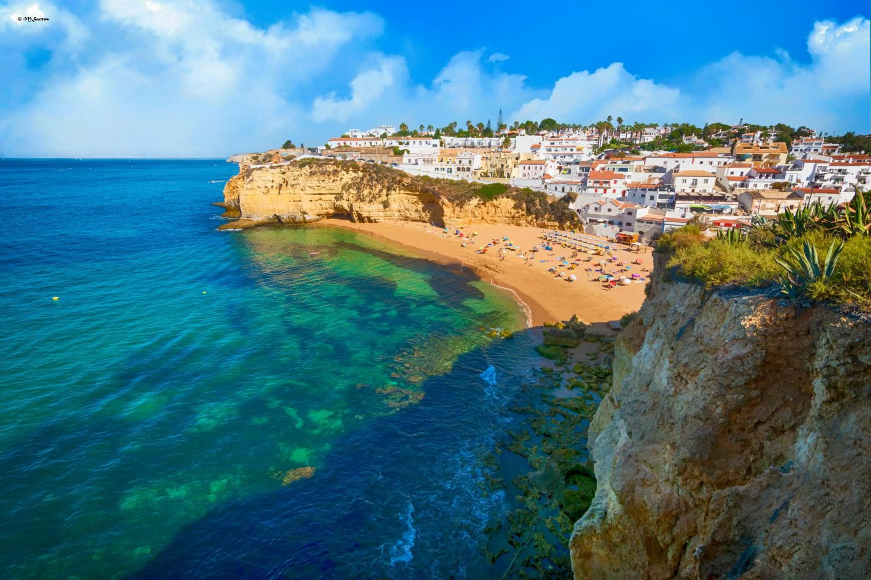 Nearby landmark in Villa Welwitshia