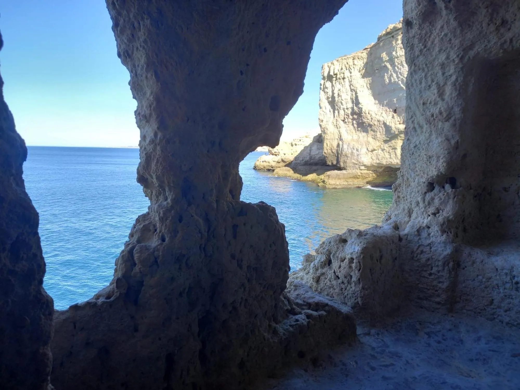 Nearby landmark in Villa Welwitshia