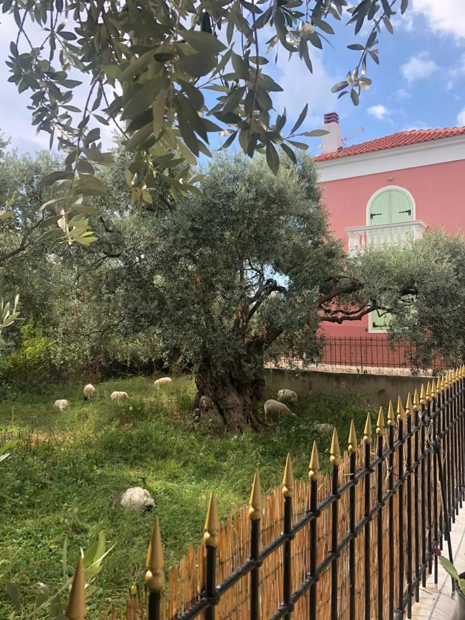 Garden view in Villas Thassos