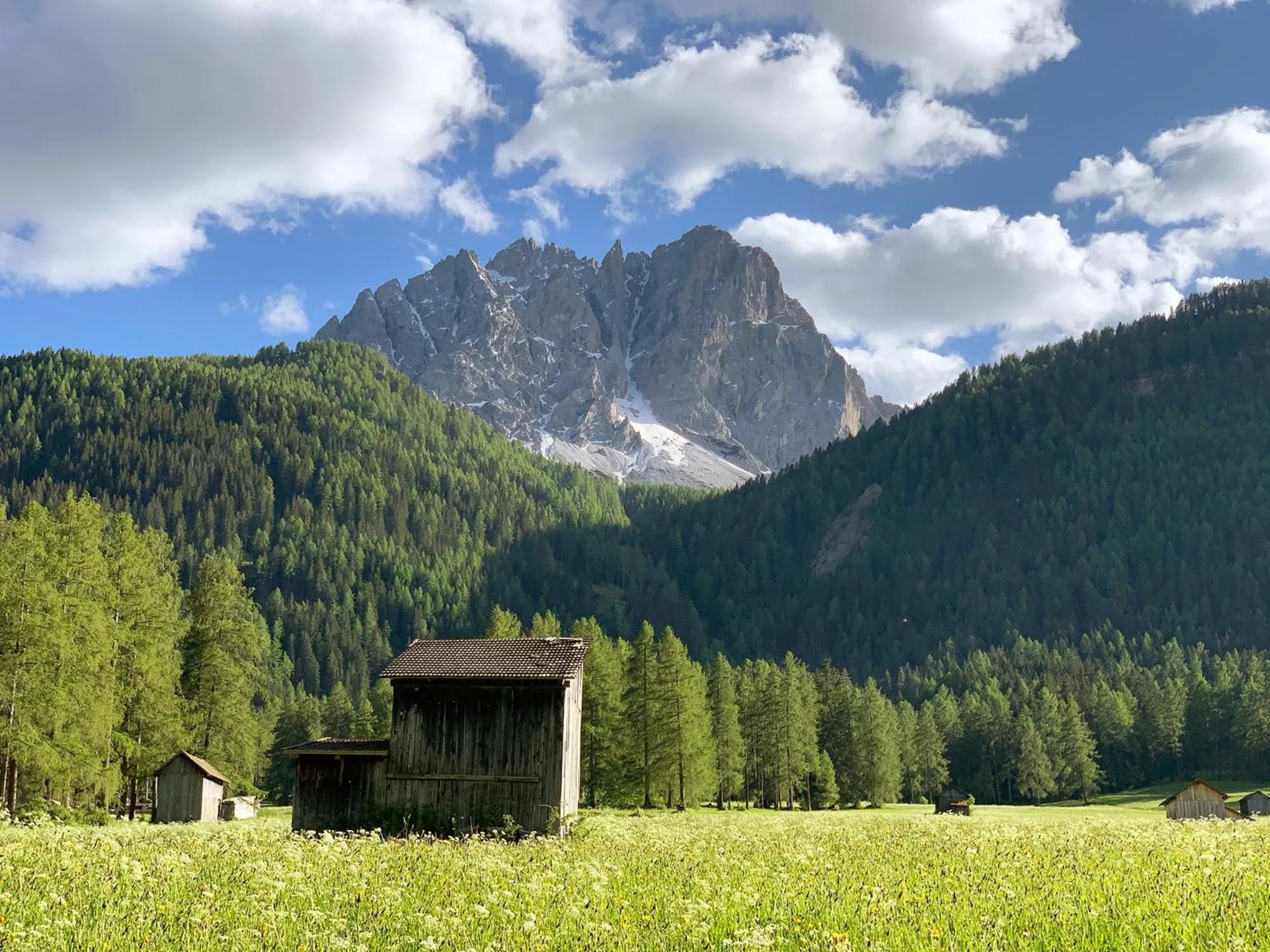 Neighbourhood in Bachlaufen Haus