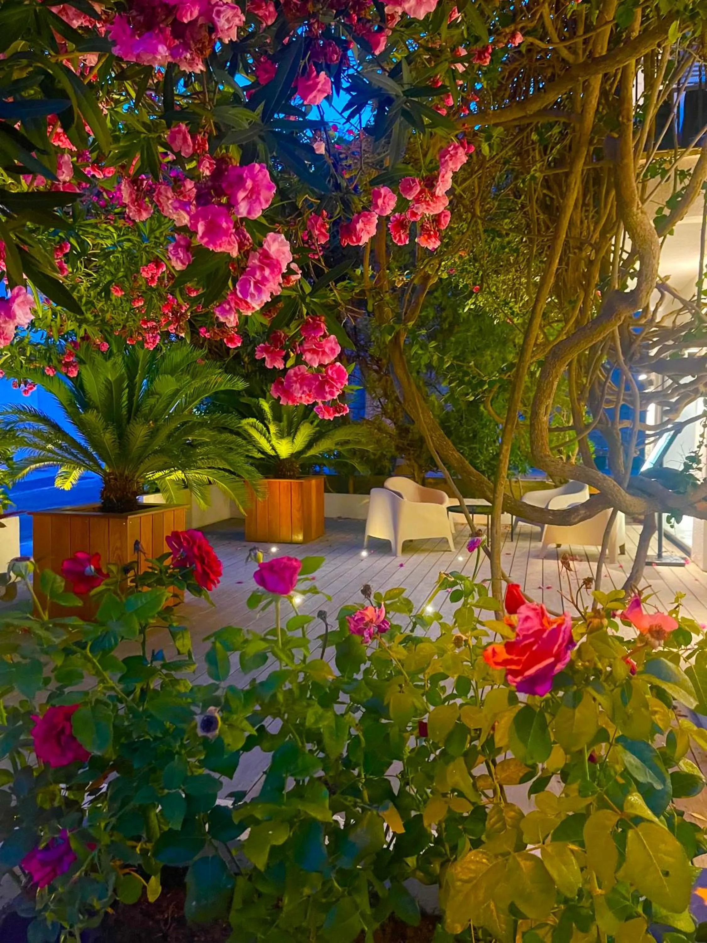 Day in Hôtel Le Mistral