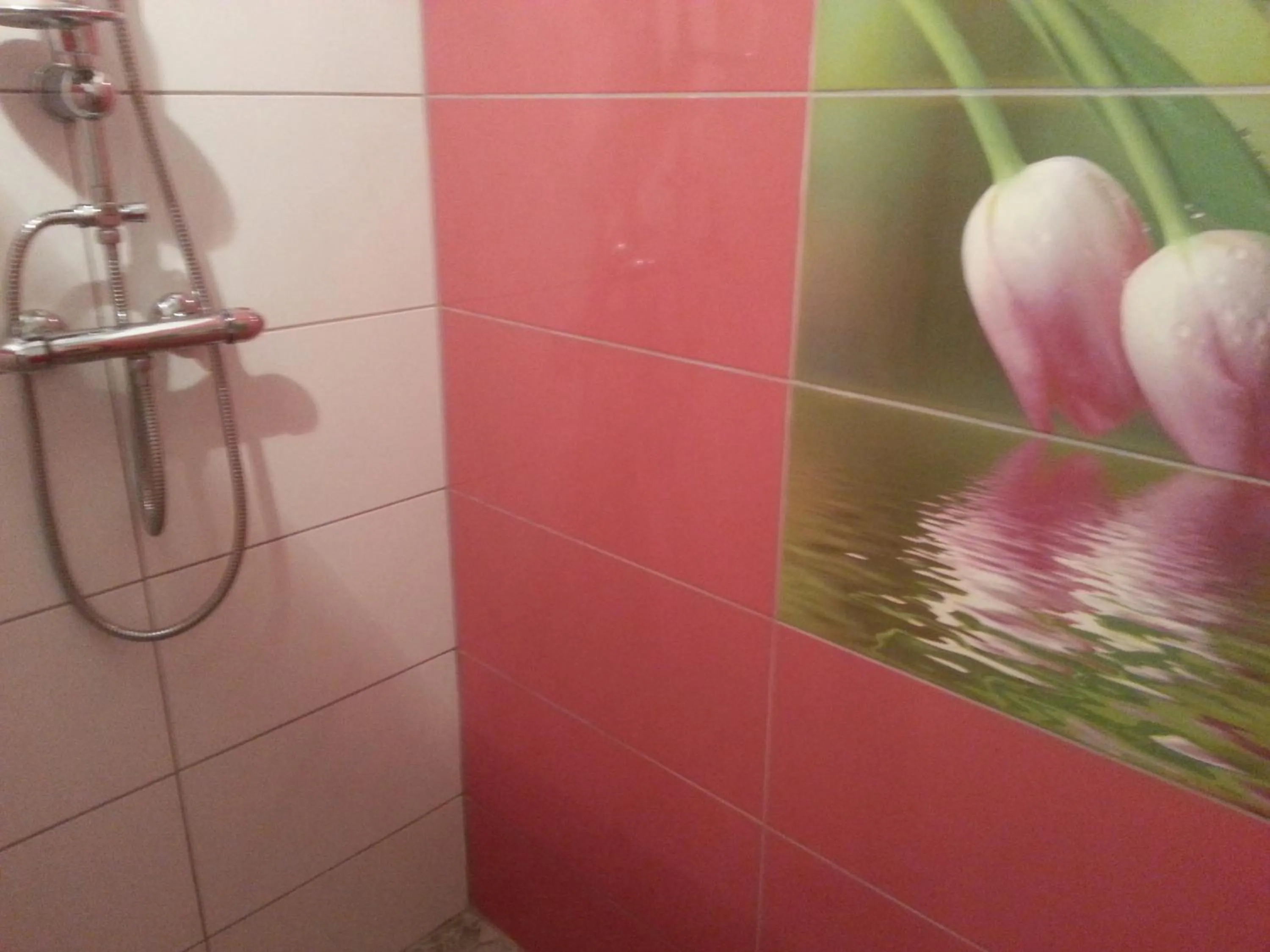 Shower in Ferme du Montheu