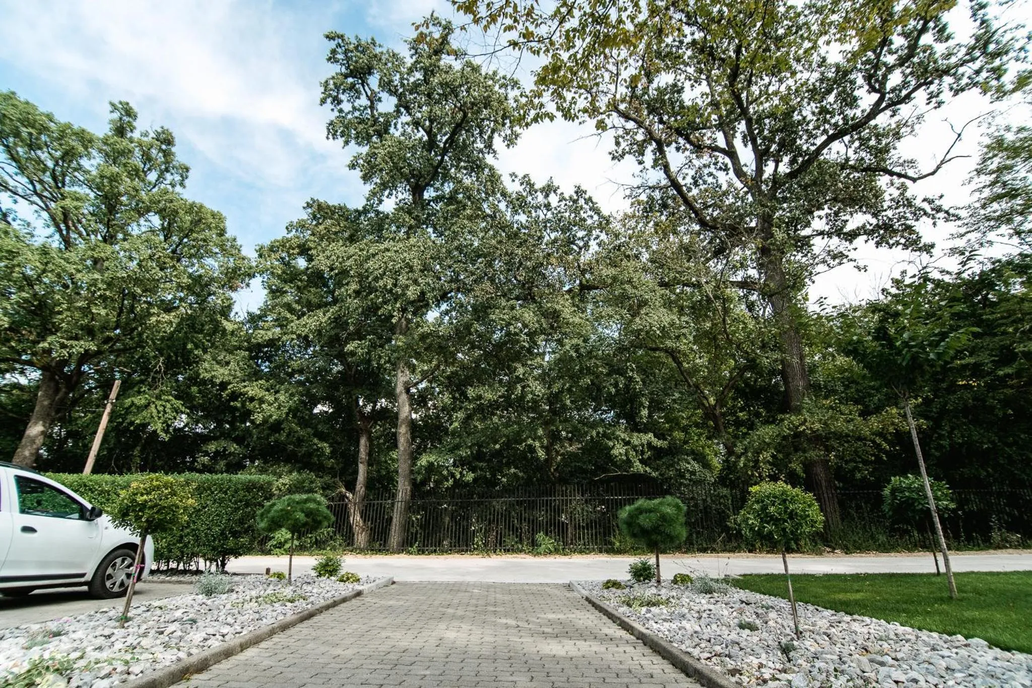 Garden in HOTEL VITAL