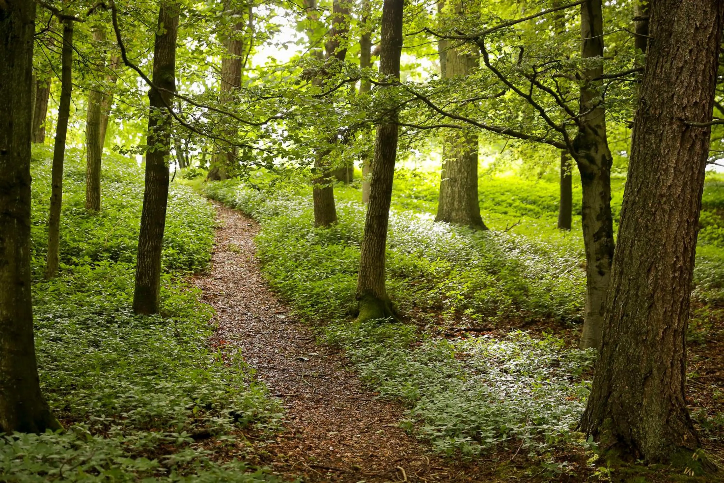Natural landscape in Perth Youth Hostel and Apartments