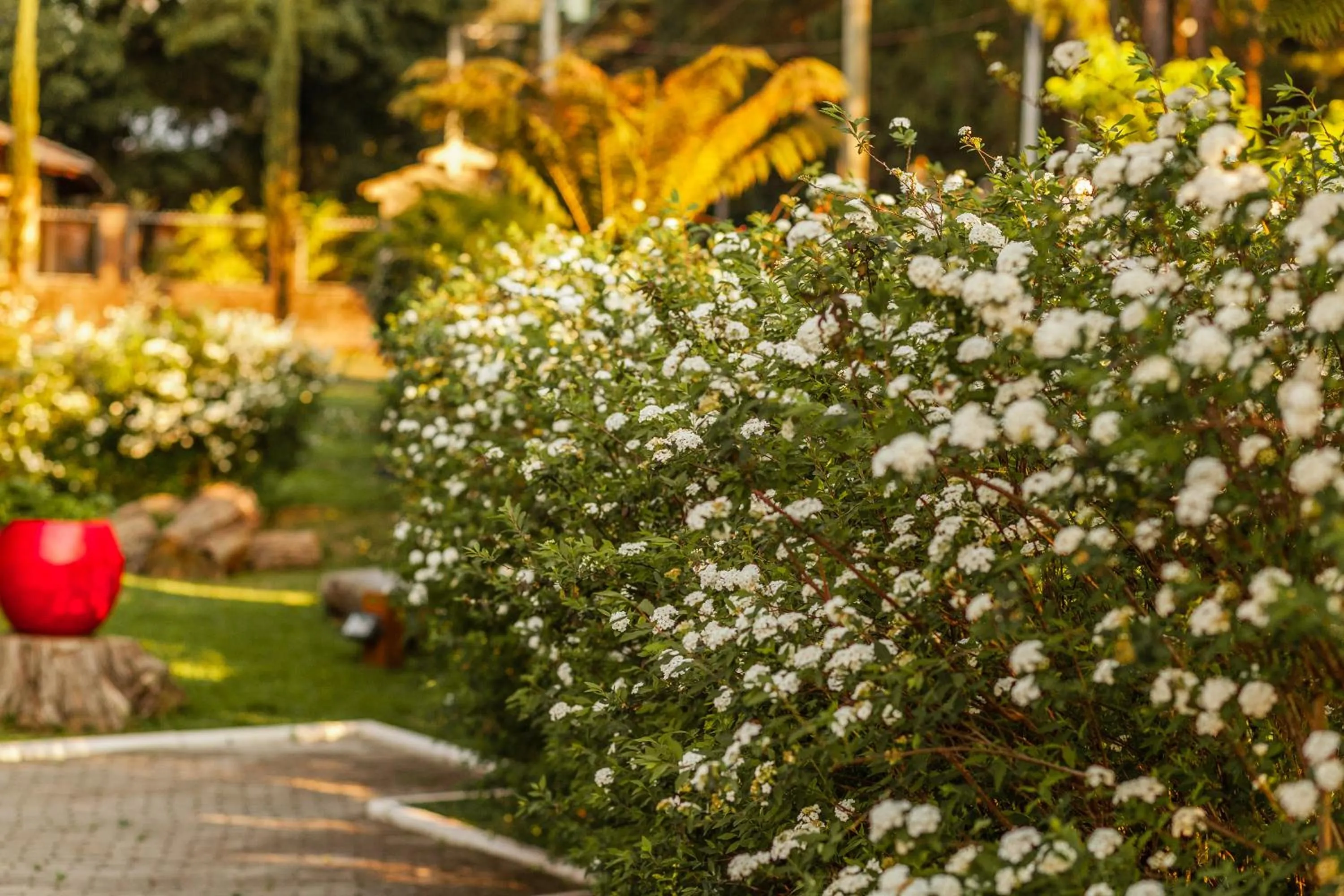 Garden in Pousada Betânia