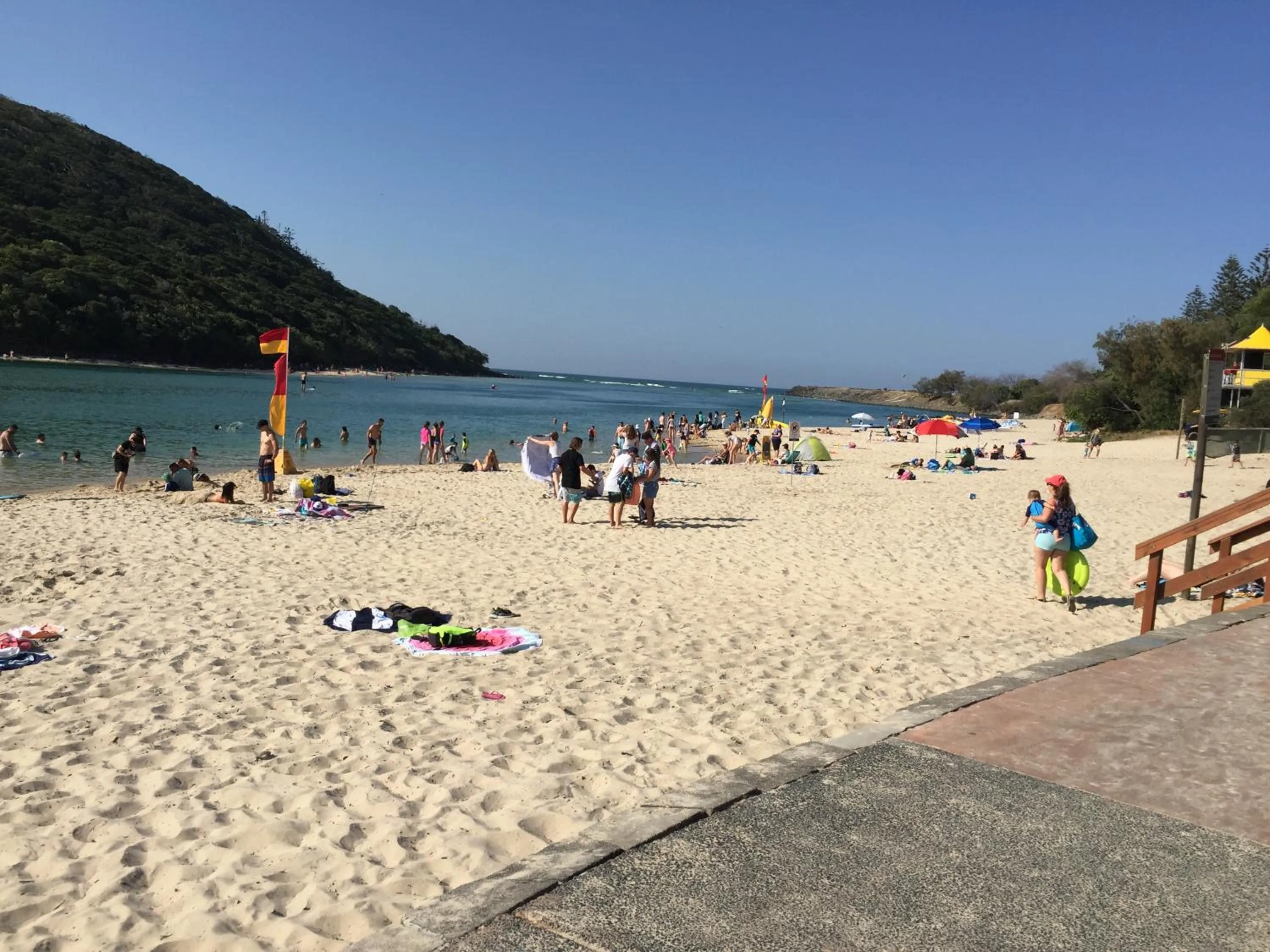 People in Sea Mist Palms