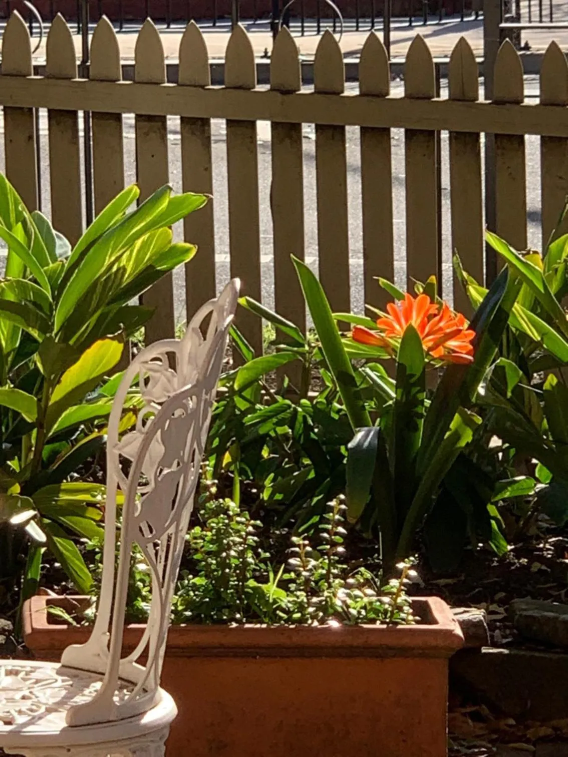 Garden in Burwood Bed and Breakfast