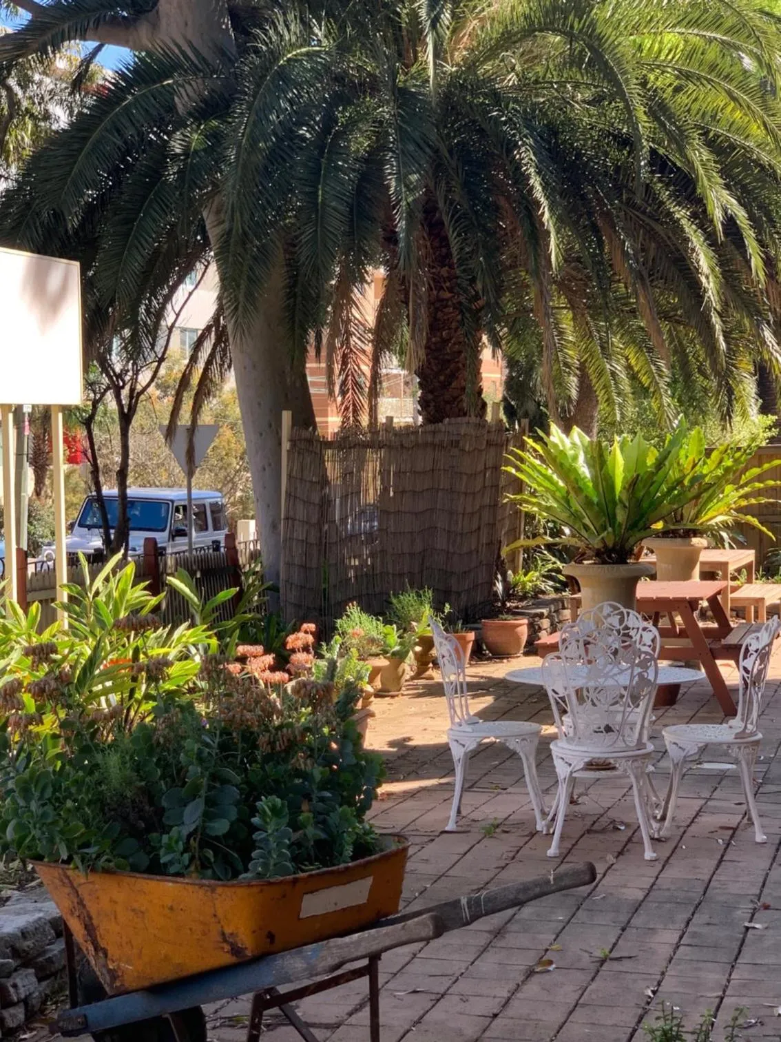 Garden in Burwood Bed and Breakfast