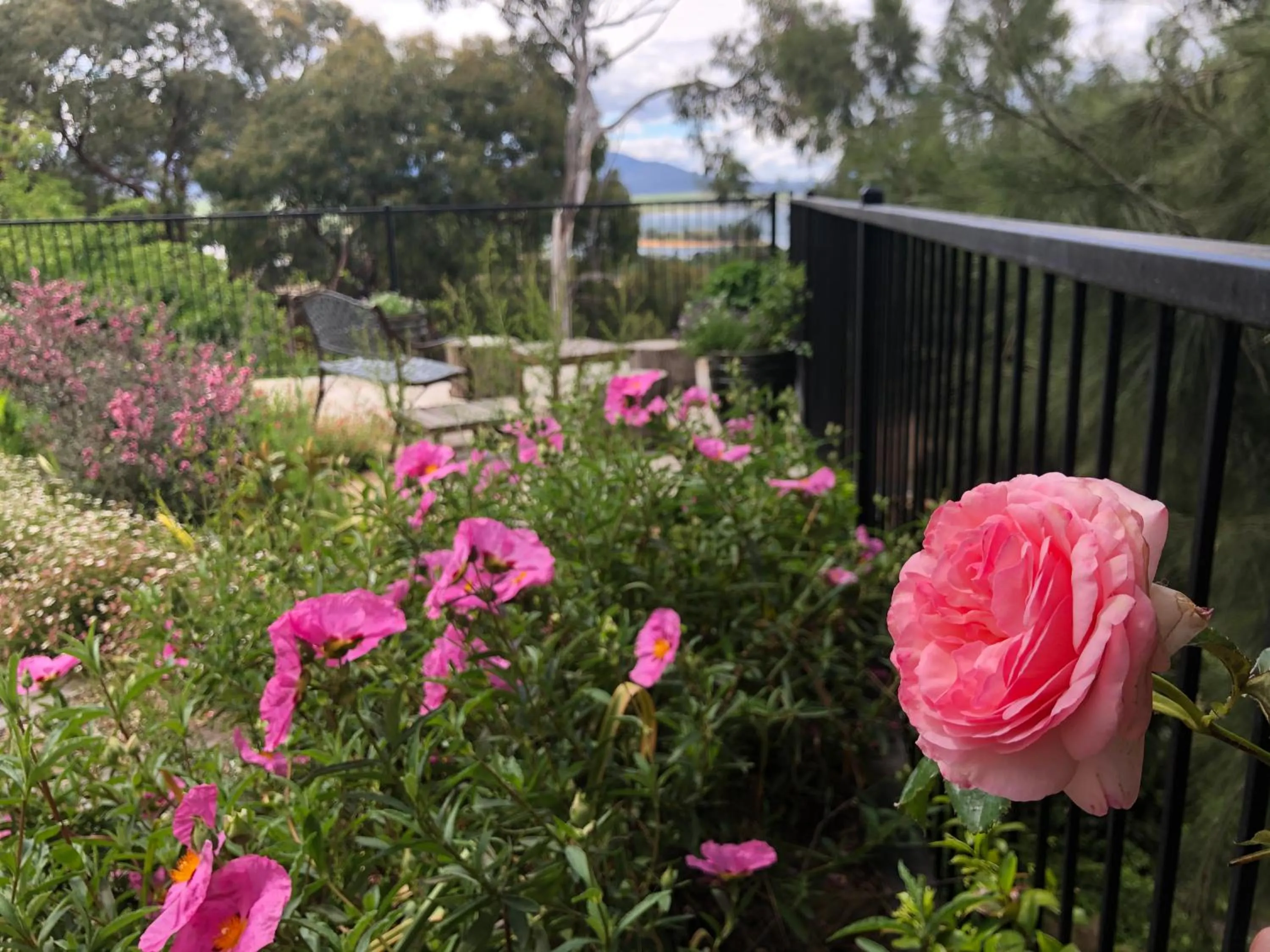 BBQ facilities in Troldhaugen Lodge - Adults Only