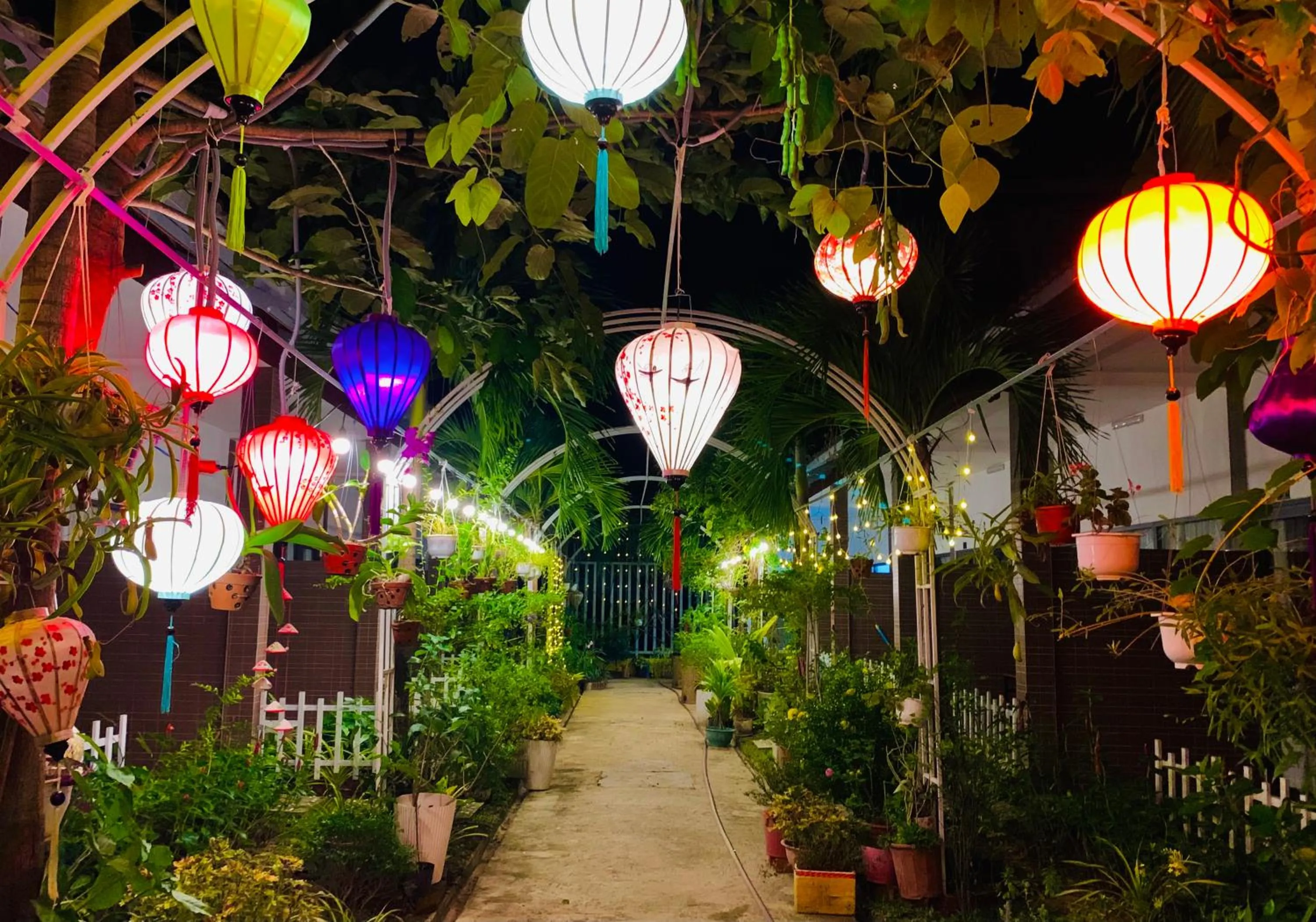 Garden in Canary Bungalow