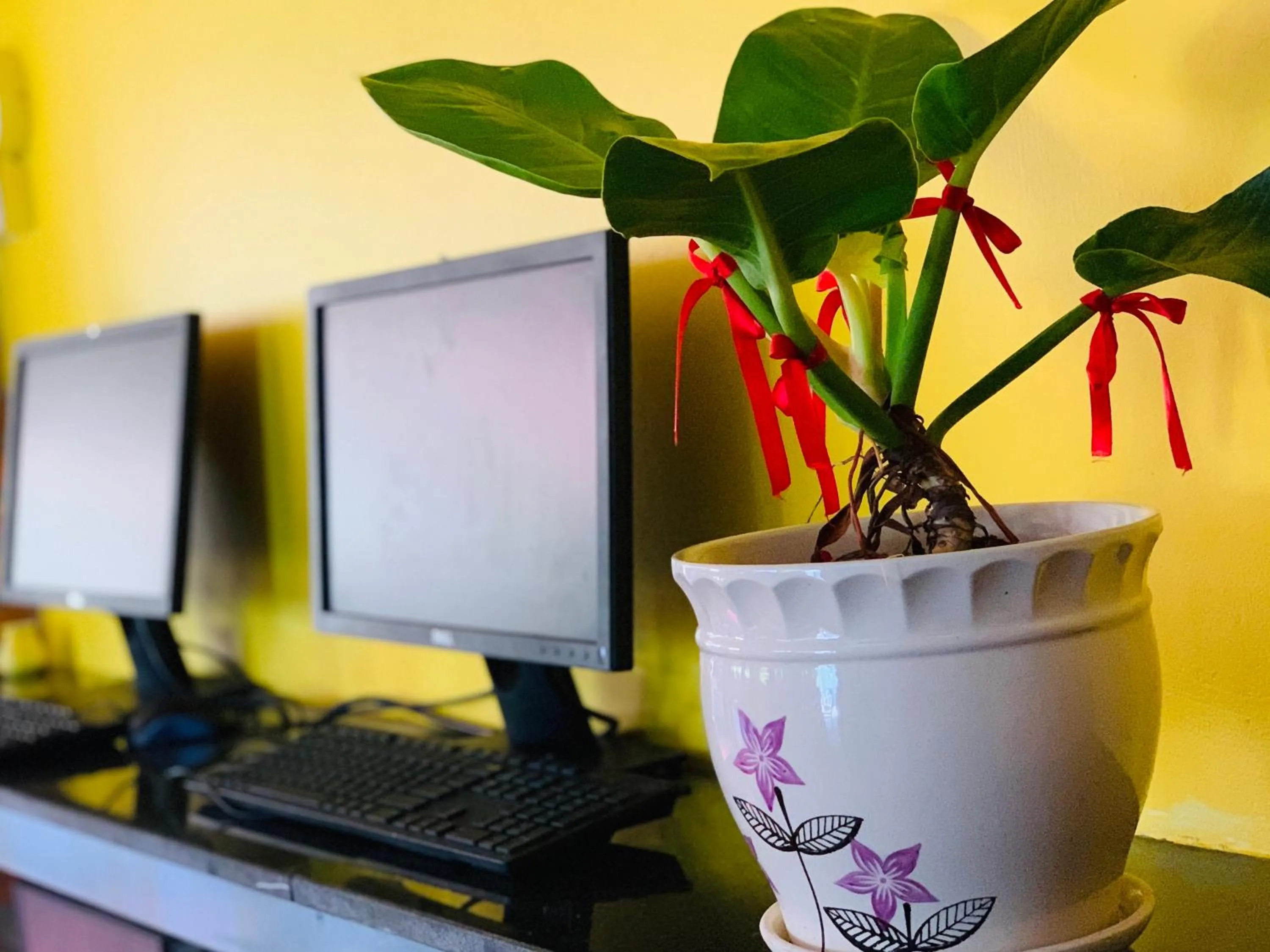 Business facilities in Canary Bungalow