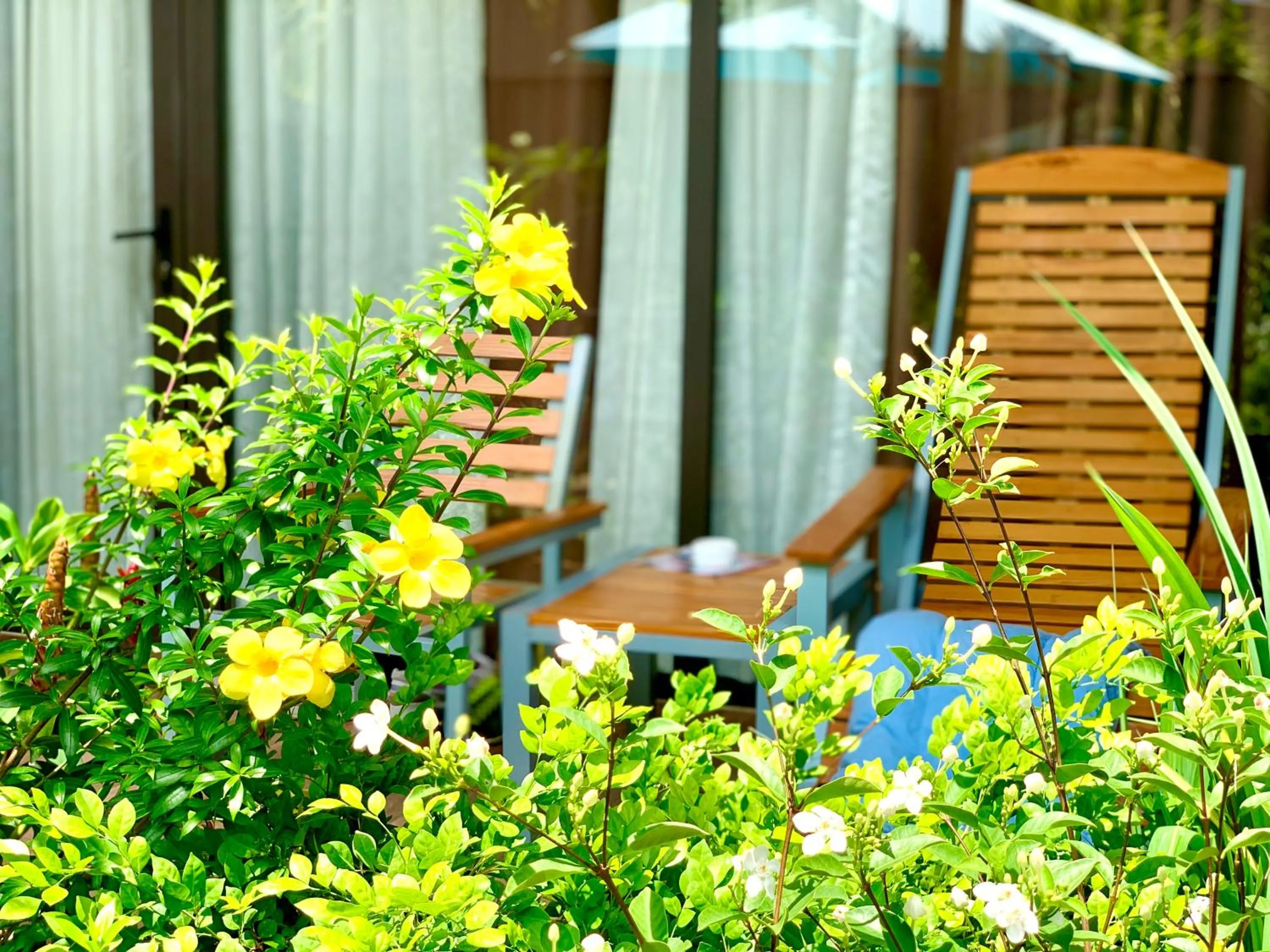 Patio in Canary Bungalow