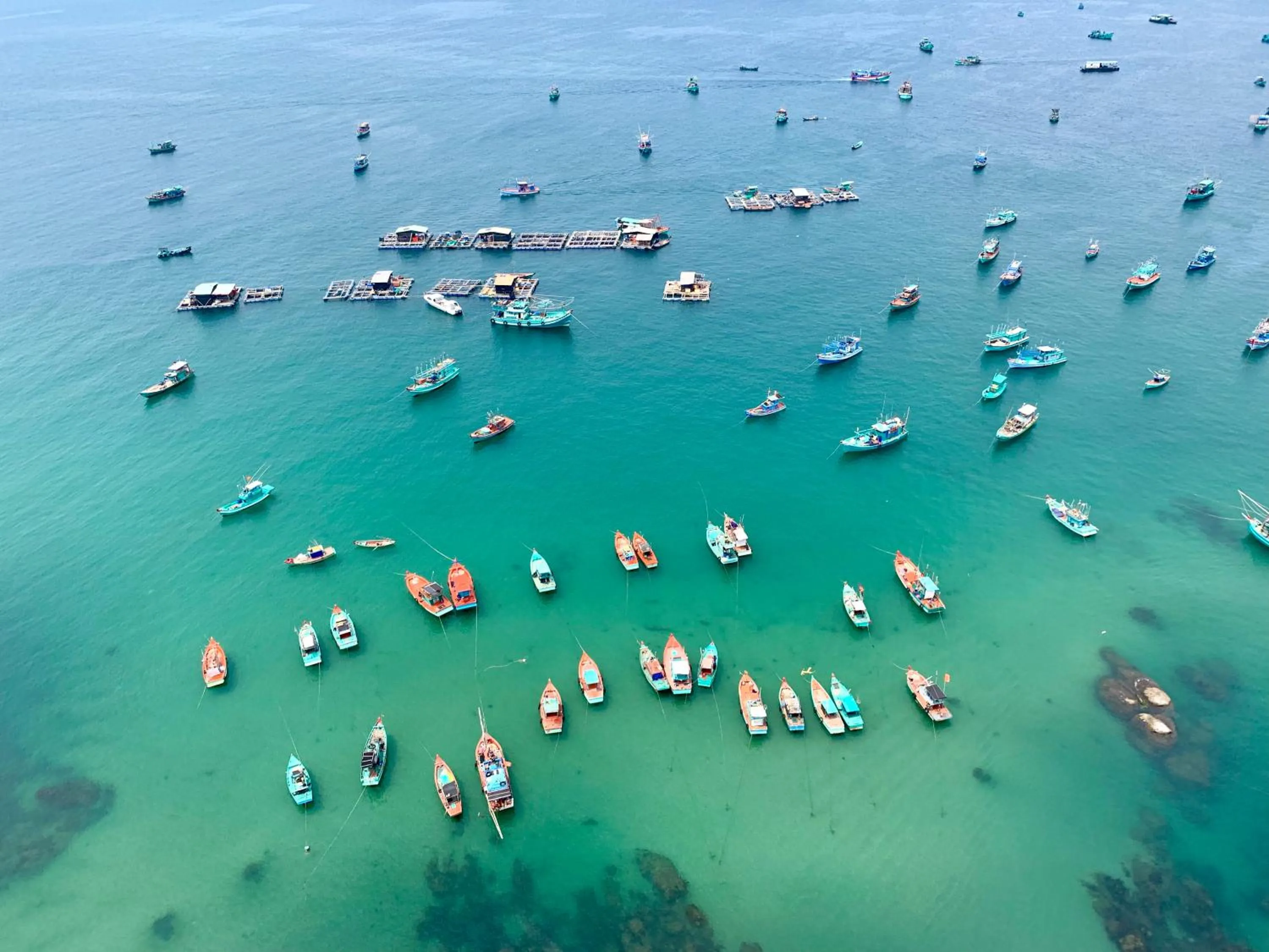 Spring in Canary Bungalow