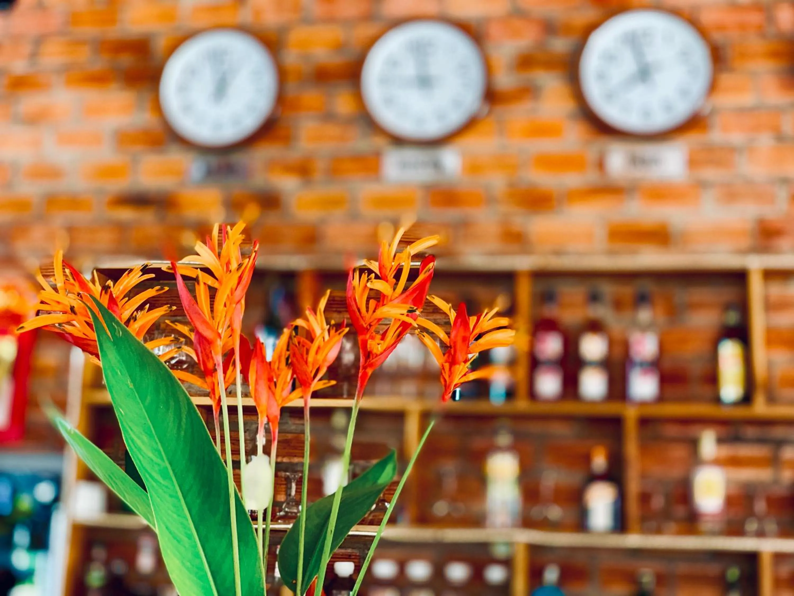 Restaurant/places to eat in Canary Bungalow