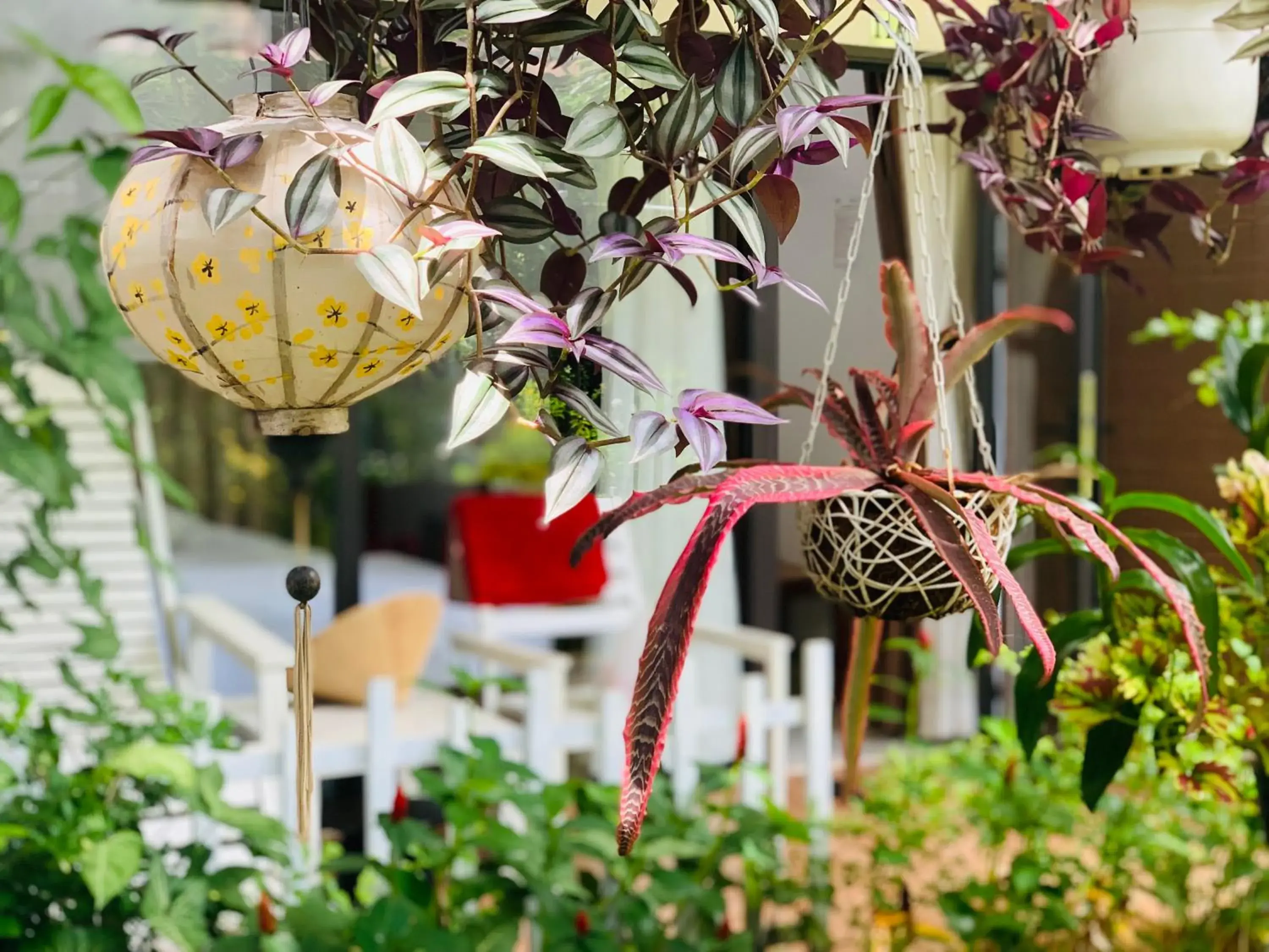 Facade/entrance in Canary Bungalow Facade/entrance in Canary Bungalow