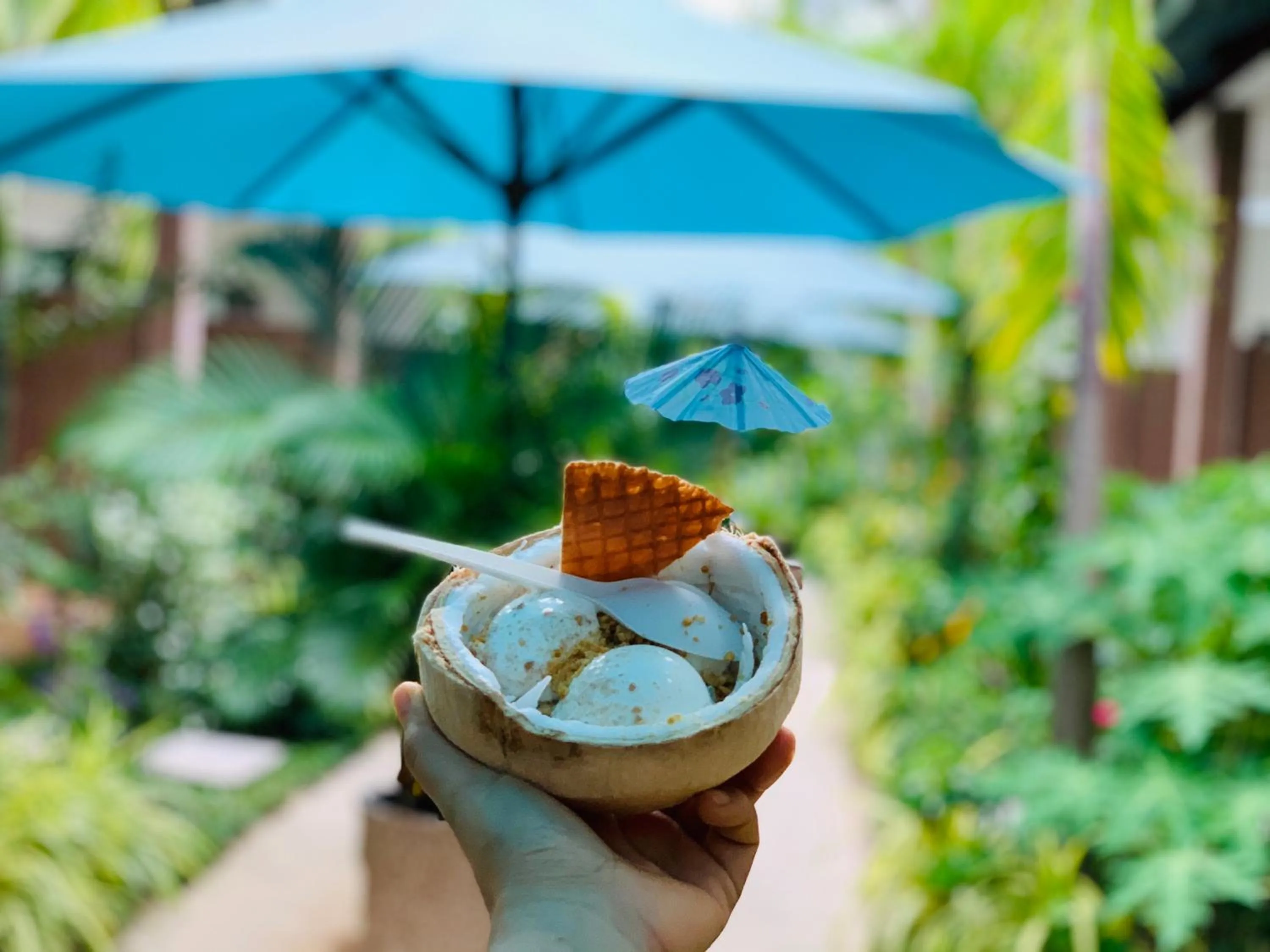 Food in Canary Bungalow