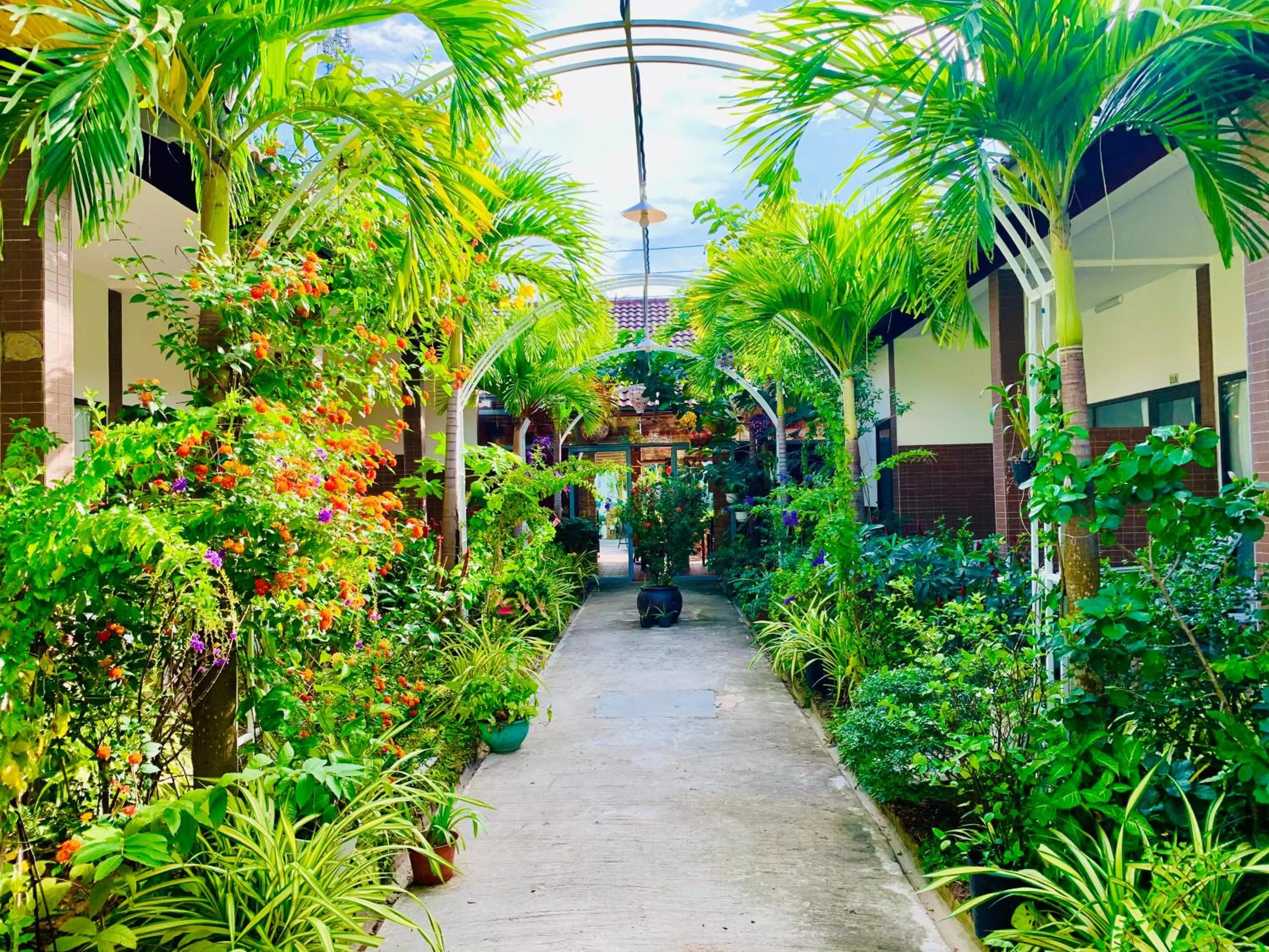 Patio in Canary Bungalow
