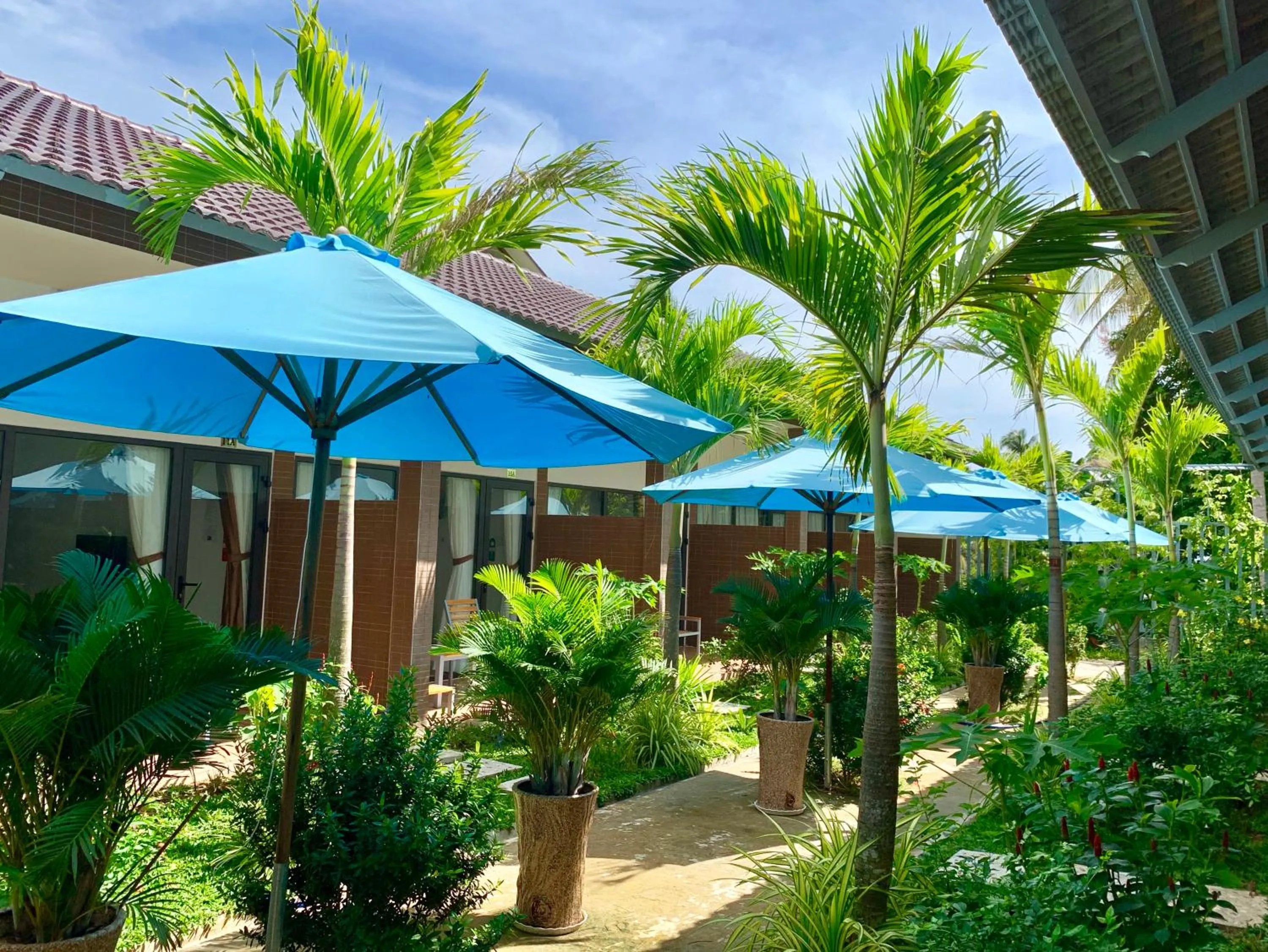 Property building in Canary Bungalow