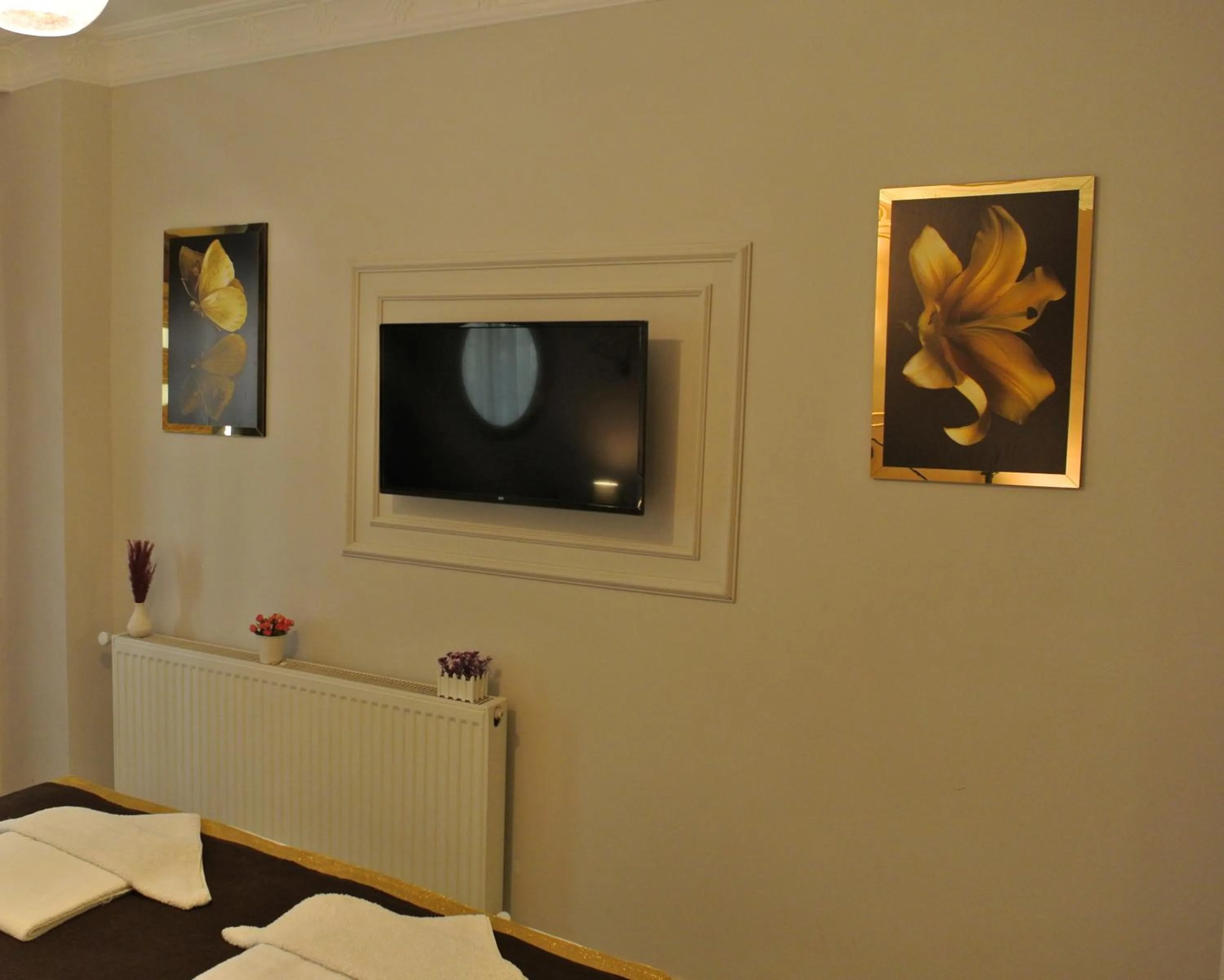 TV and multimedia in Emirhan Hotel, Sultanahmet