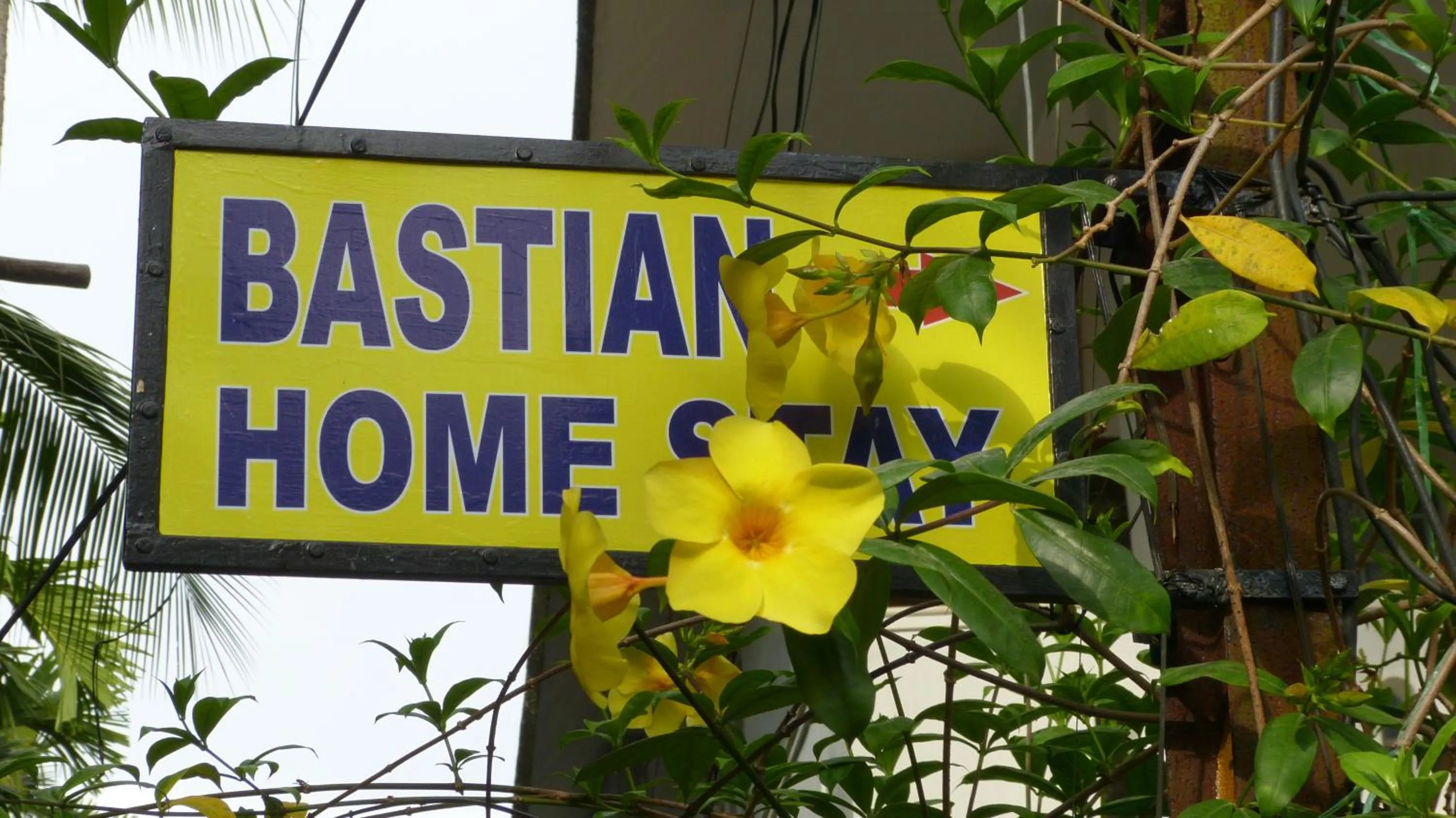 Bastian Homestay