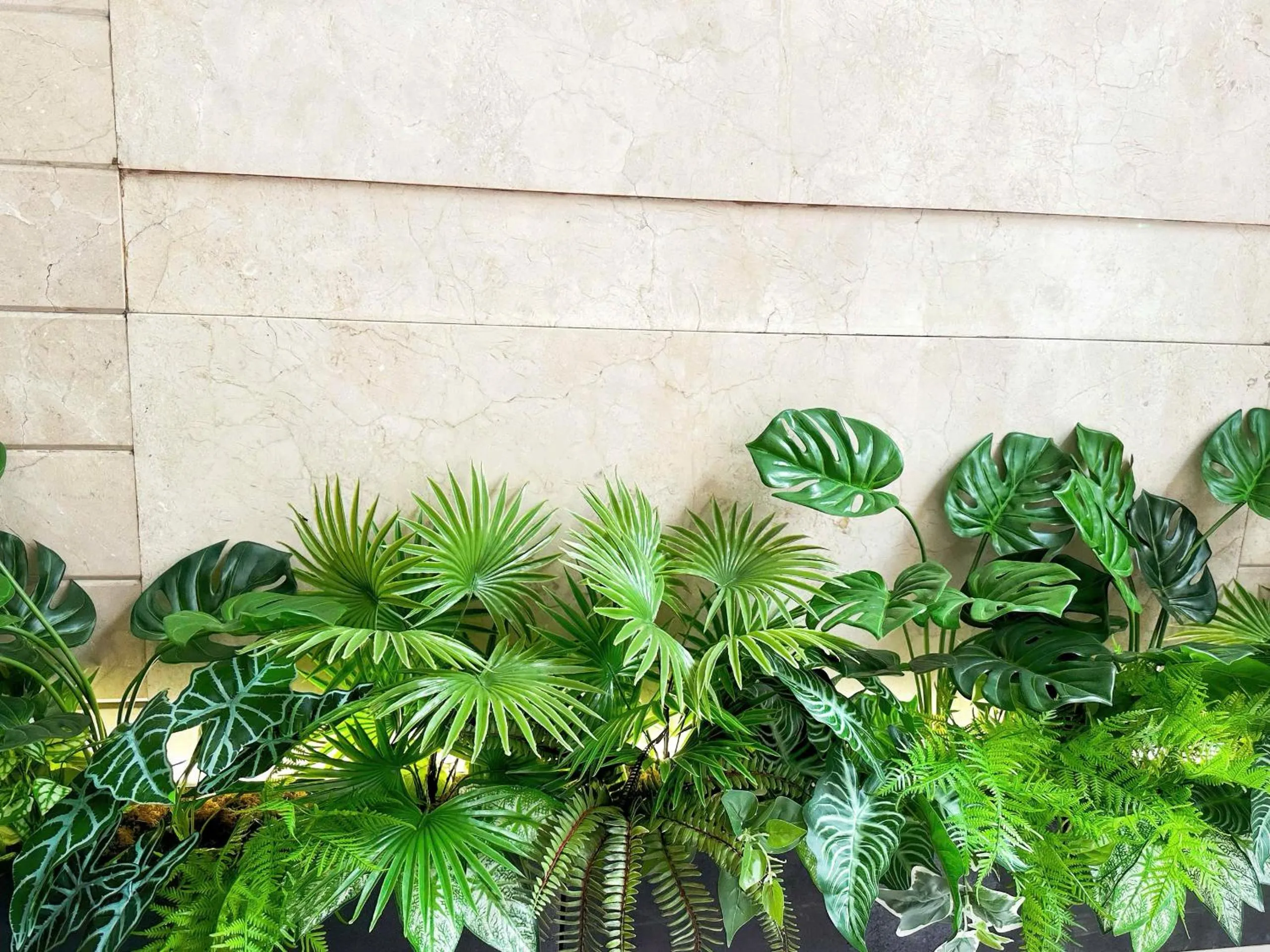 Garden in Vuong Tai Hotel