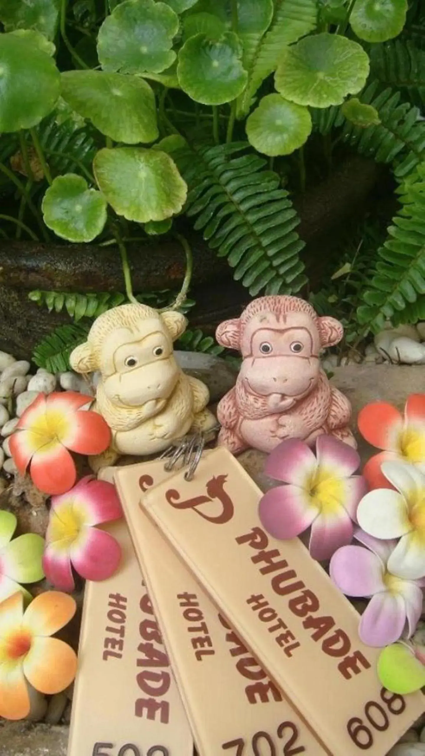 Pakchong Phubade Hotel Pakchong Phubade Hotel