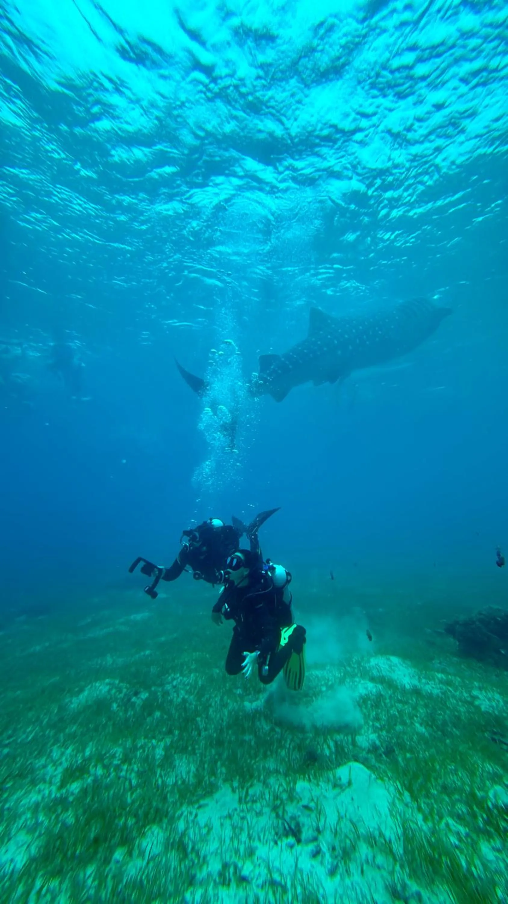 Activities in Southseas Beach Resort and Dive Center