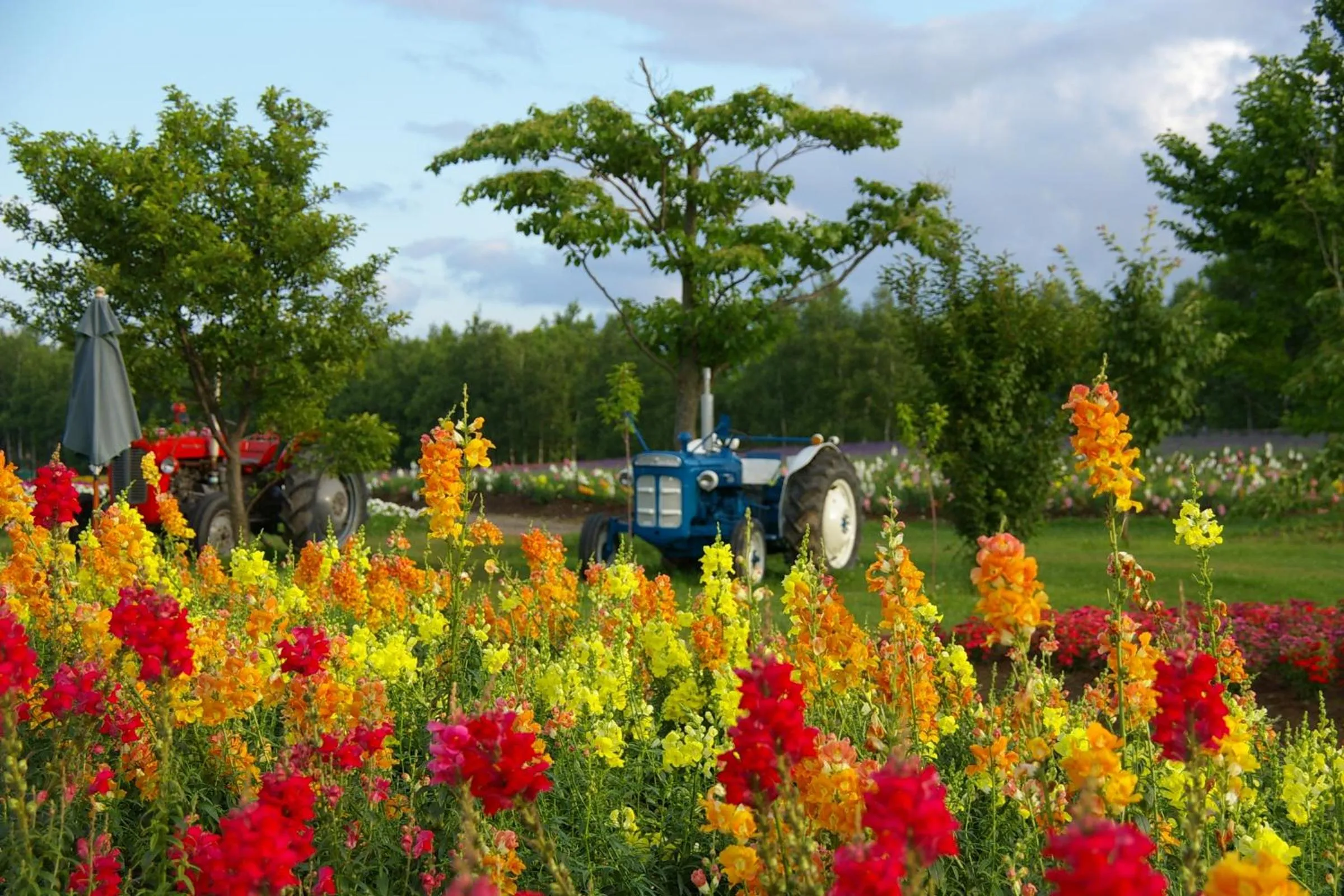 Nearby landmark in Hotel Naturwald Furano