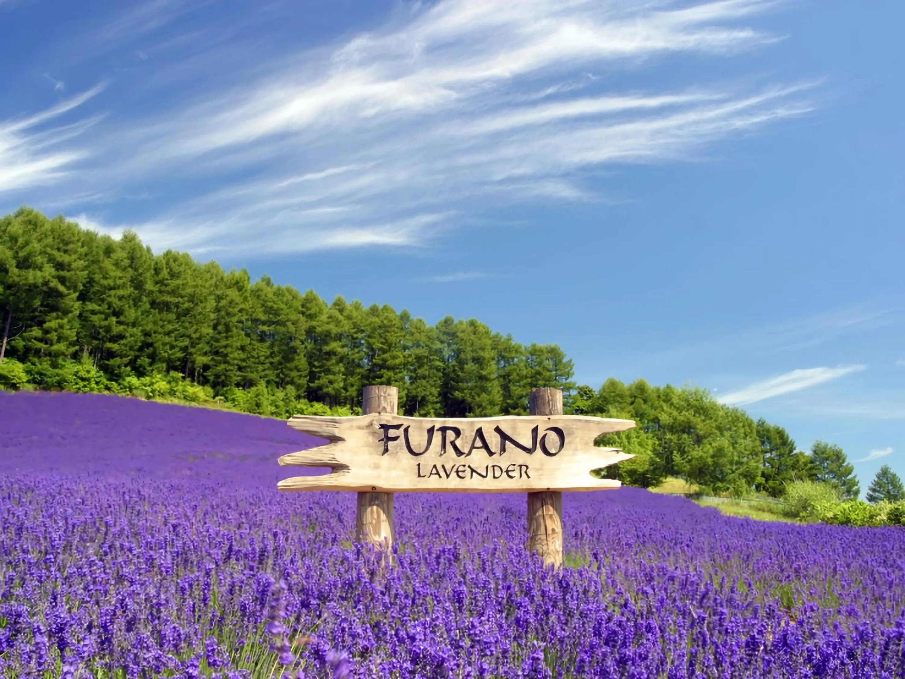 Nearby landmark in Hotel Naturwald Furano