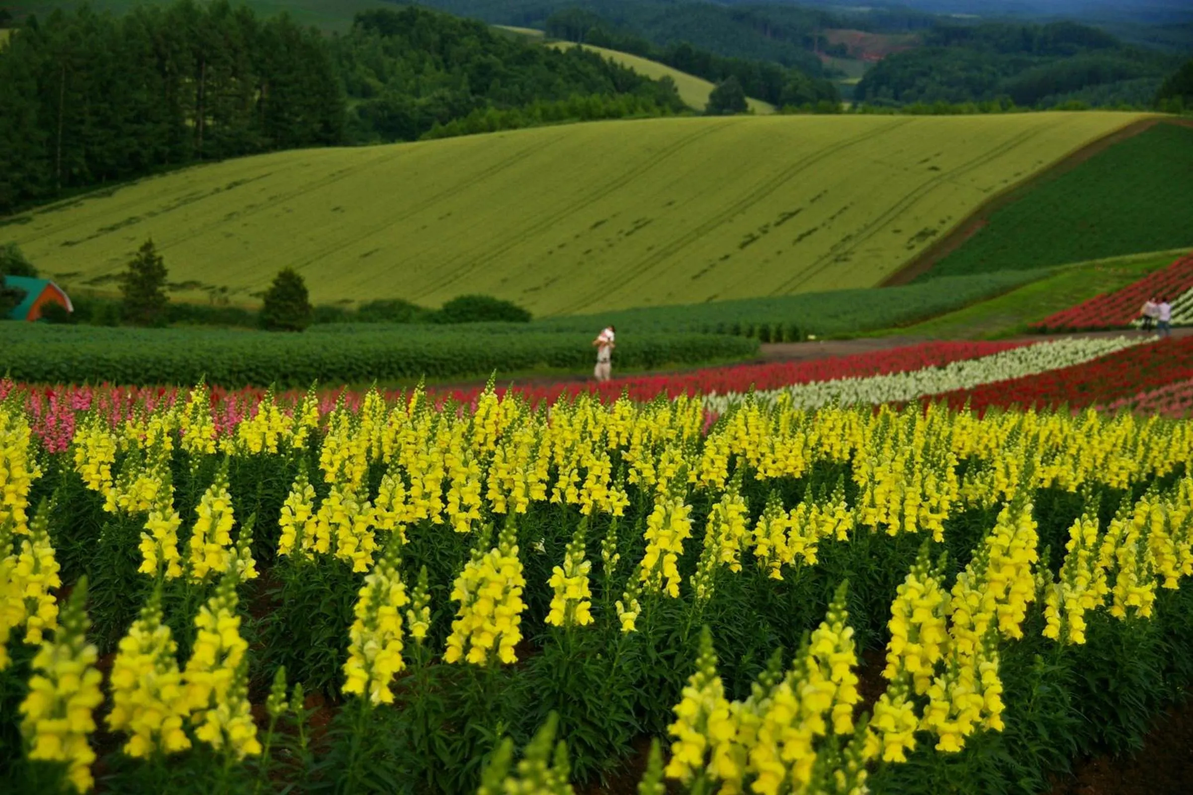 Nearby landmark in Hotel Naturwald Furano