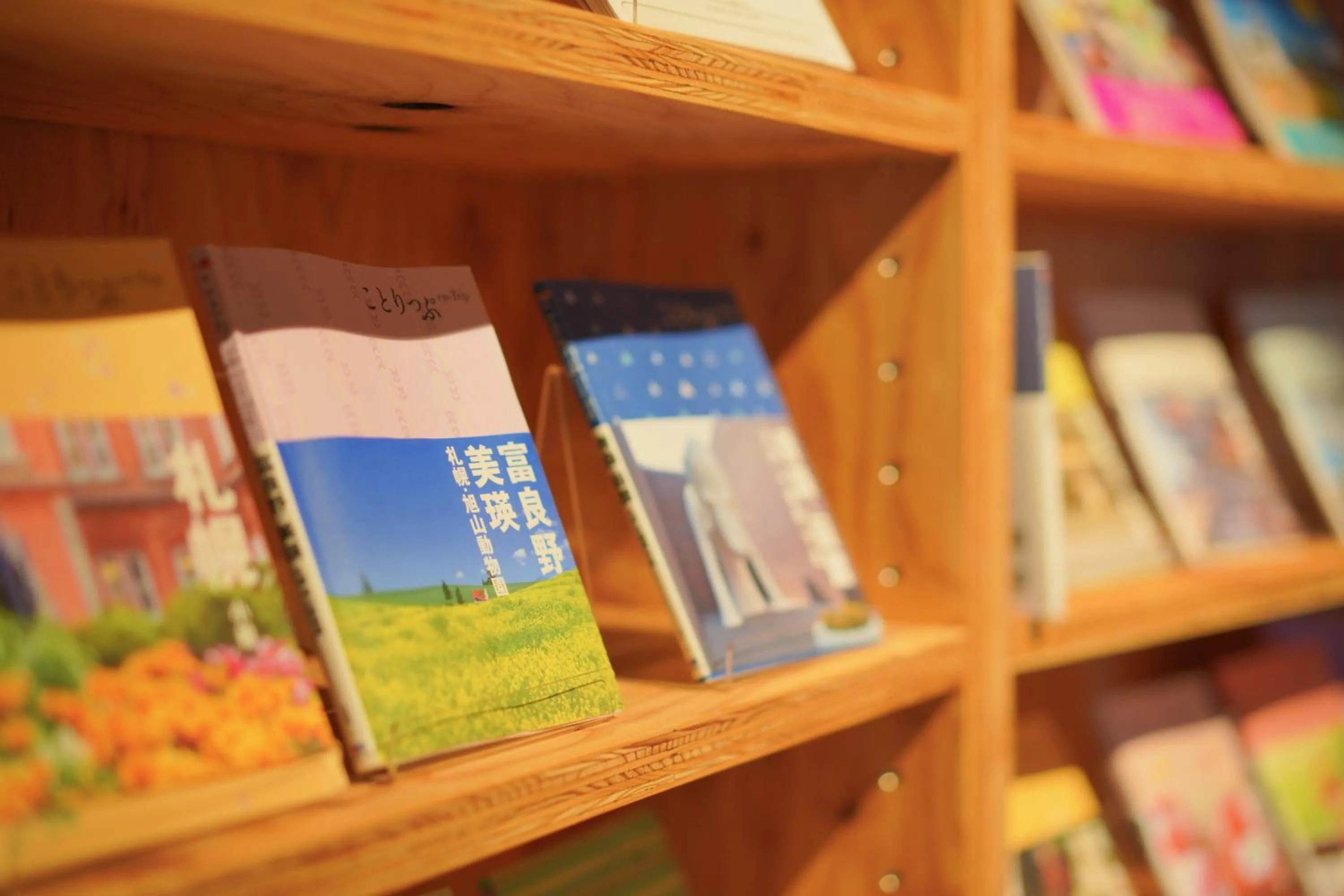 Lounge or bar in Hotel Naturwald Furano