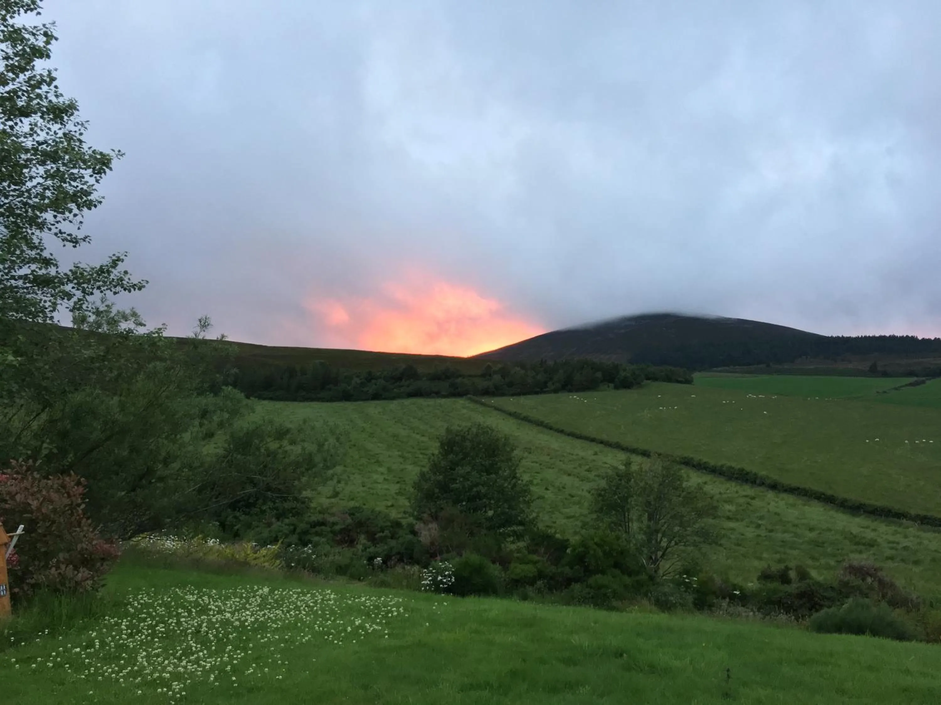 Property building in The Gables Whisky B&B