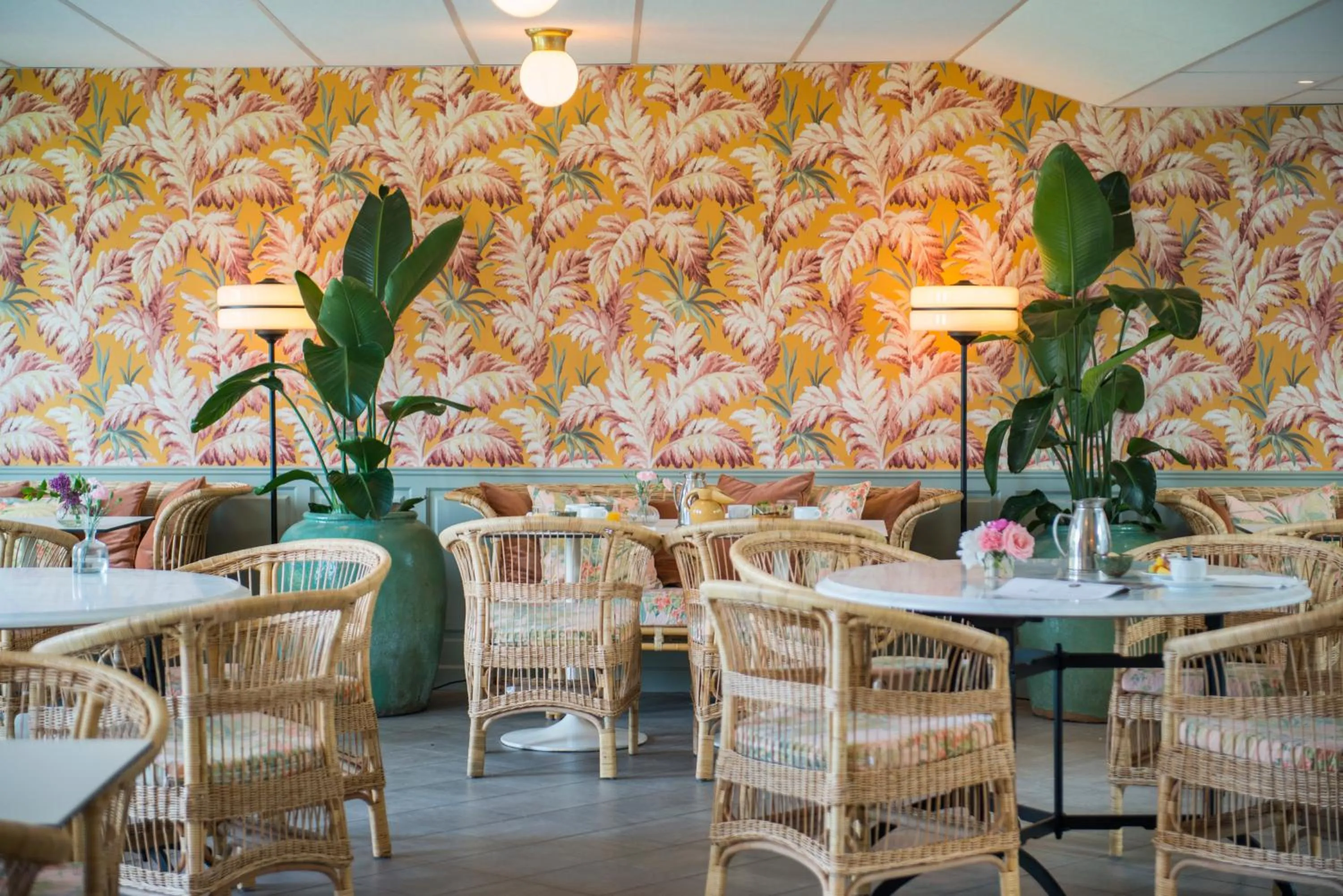 Area and facilities in Villa Alma