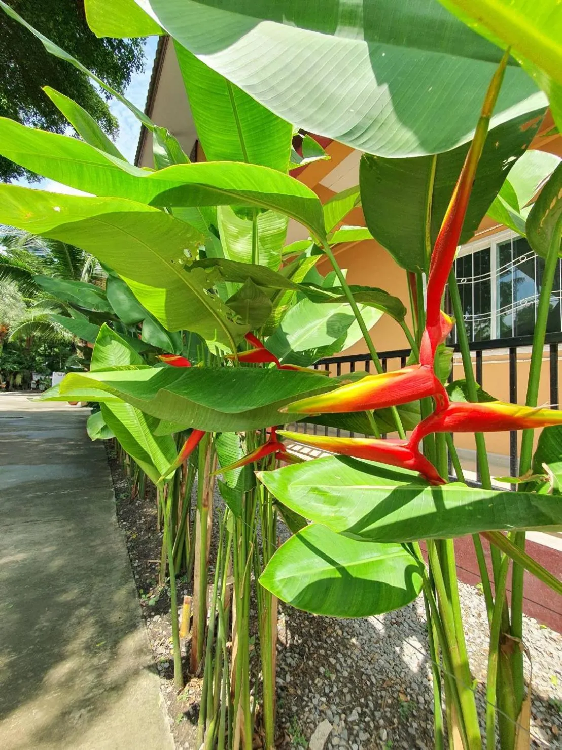 Bansuanrimnam Pakchong Resort