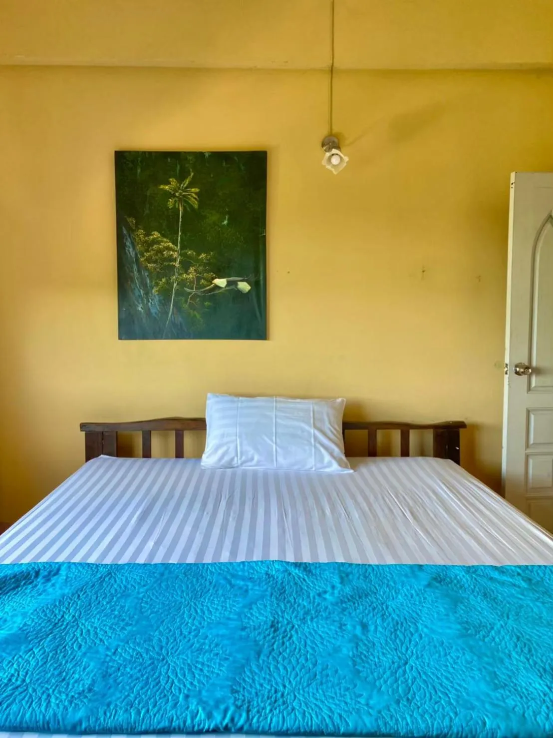 Bed in No7 Guesthouse