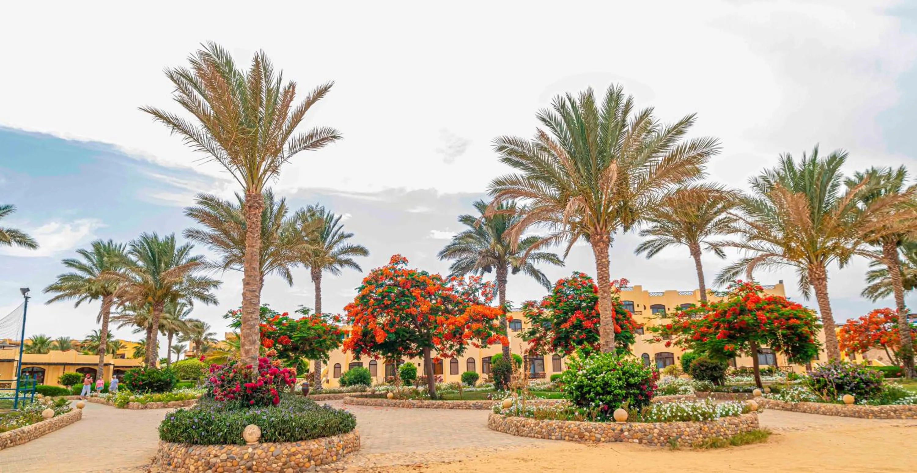 Garden in Blend Elphistone Resort Marsa Alam
