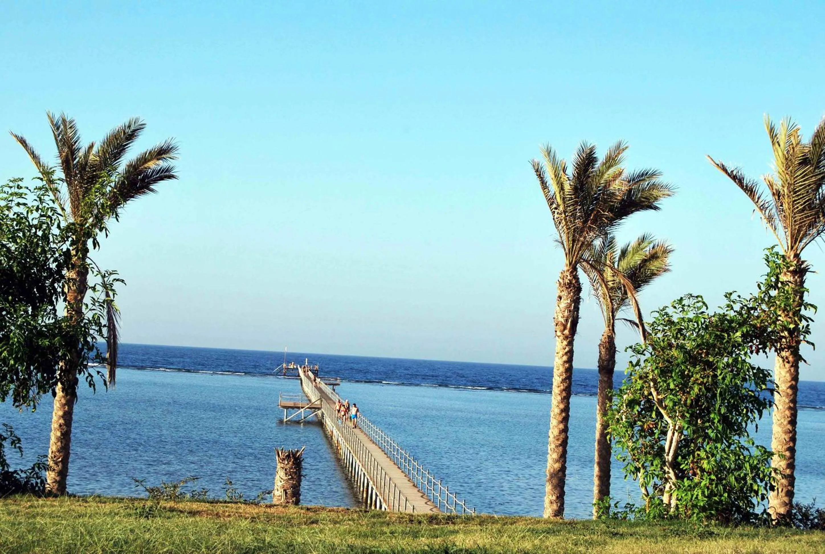 Beach in Blend Elphistone Resort Marsa Alam