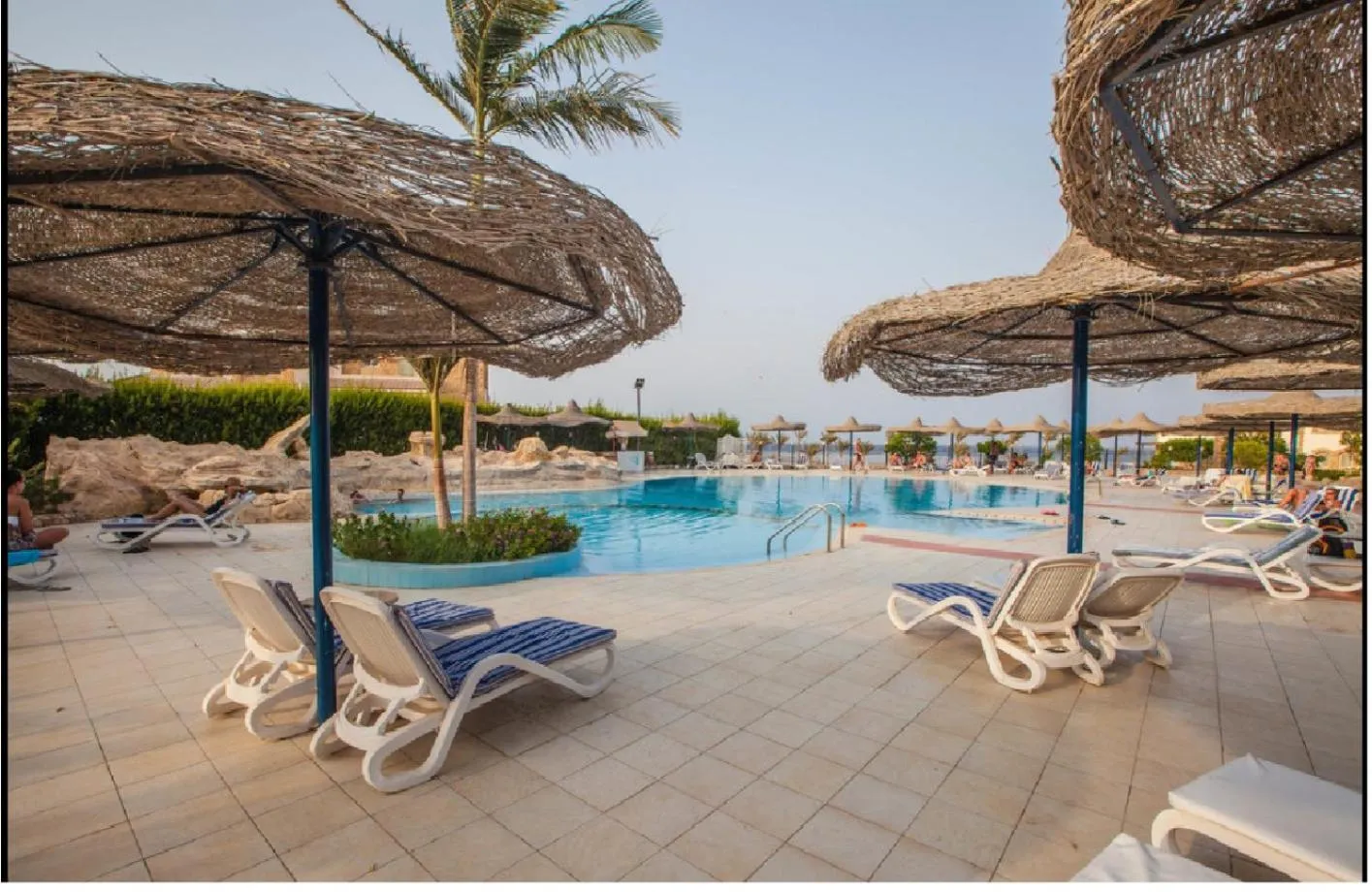 Day in Blend Elphistone Resort Marsa Alam