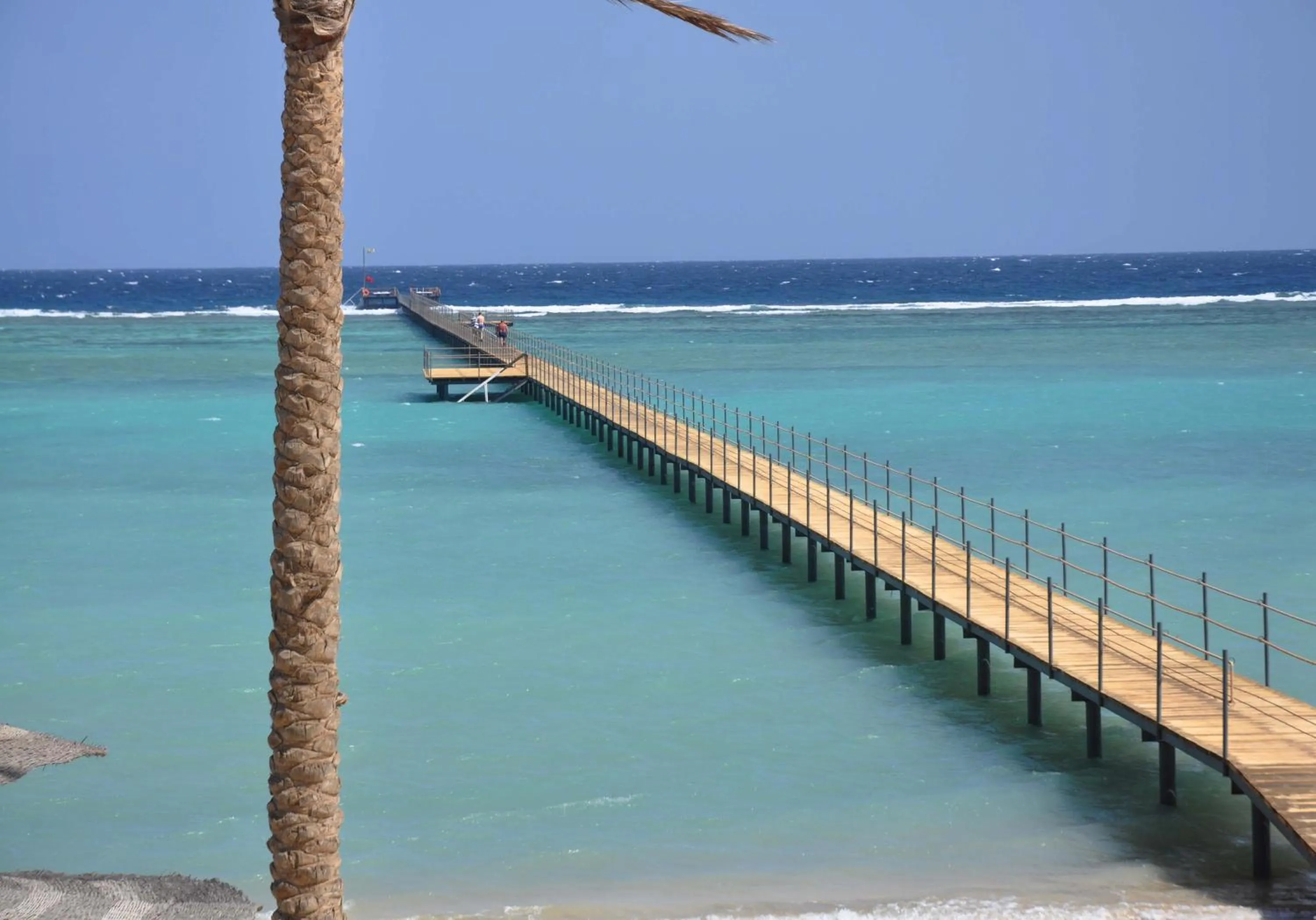 Beach in Blend Elphistone Resort Marsa Alam
