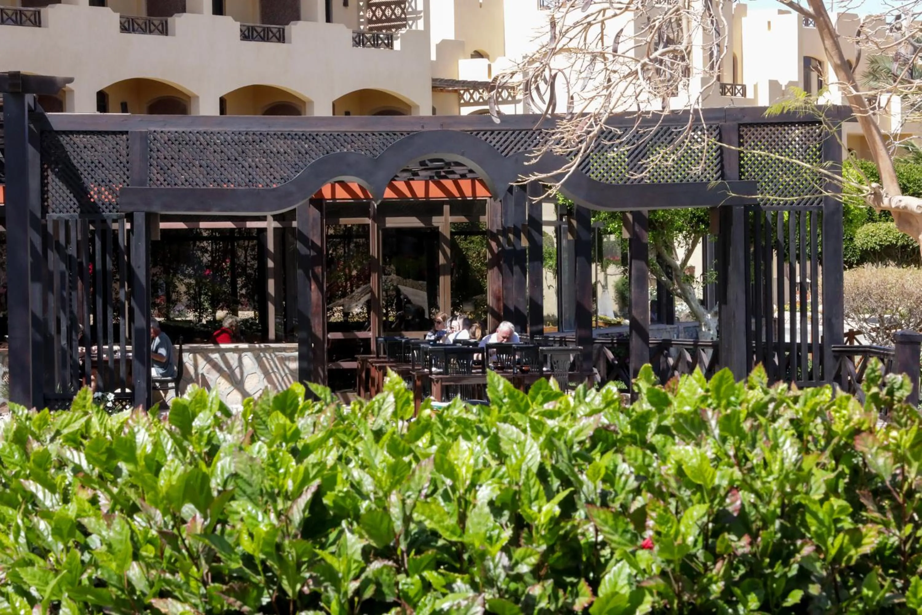 Restaurant/places to eat in Blend Elphistone Resort Marsa Alam