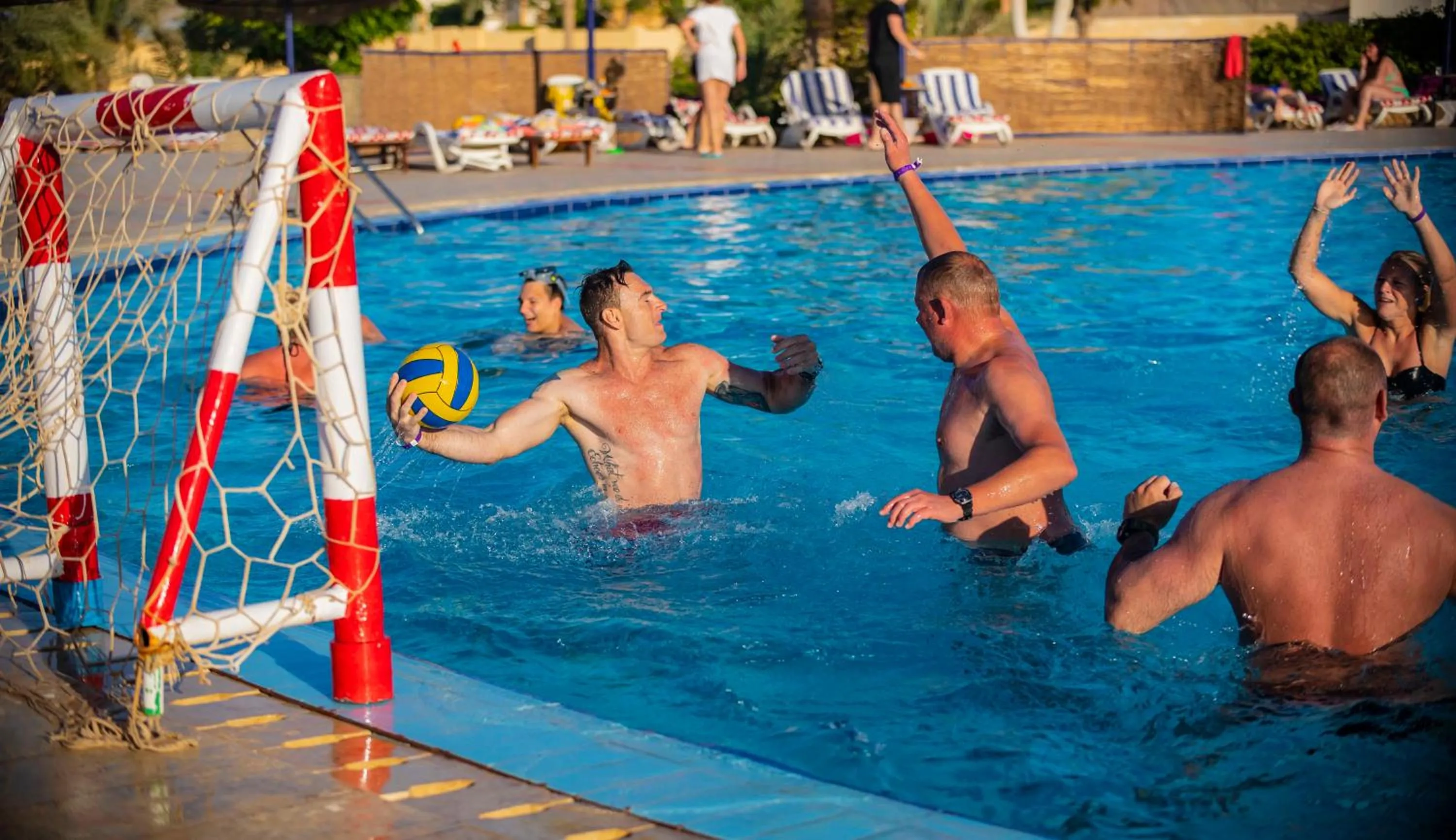 Swimming pool in Blend Elphistone Resort Marsa Alam