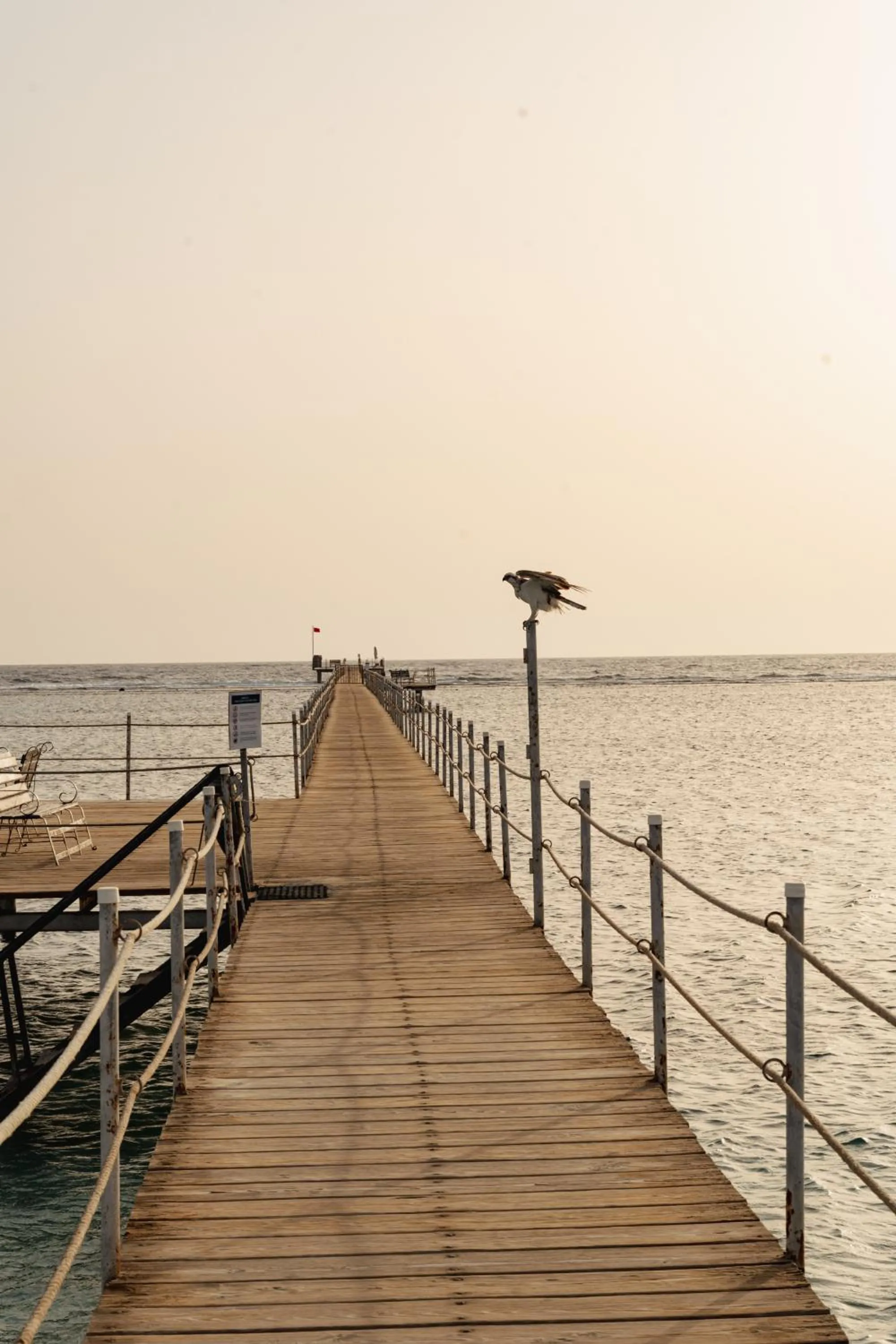 Sea view in Blend Elphistone Resort Marsa Alam