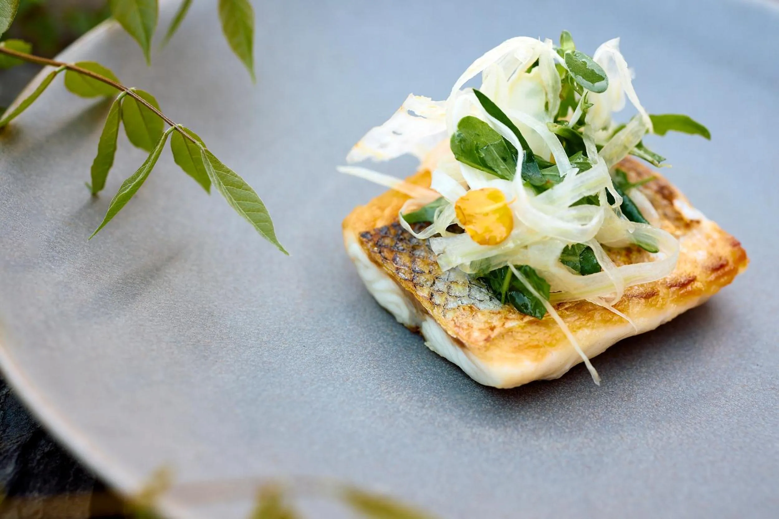 Food close-up in Six Senses Douro Valley