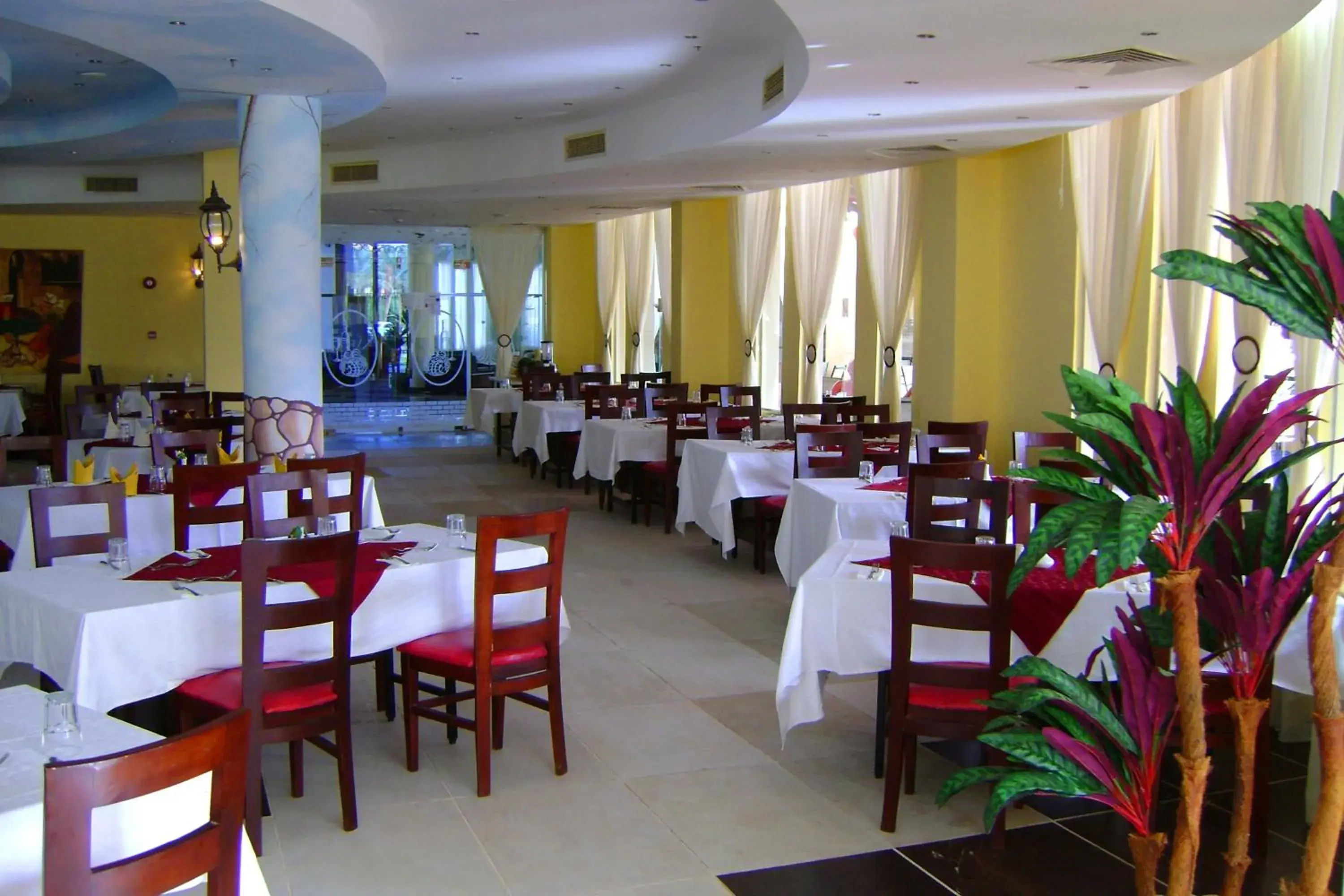 Restaurant/places to eat in Sharm Bride Resort Aqua & SPA Restaurant/places to eat in Sharm Bride Resort Aqua & SPA